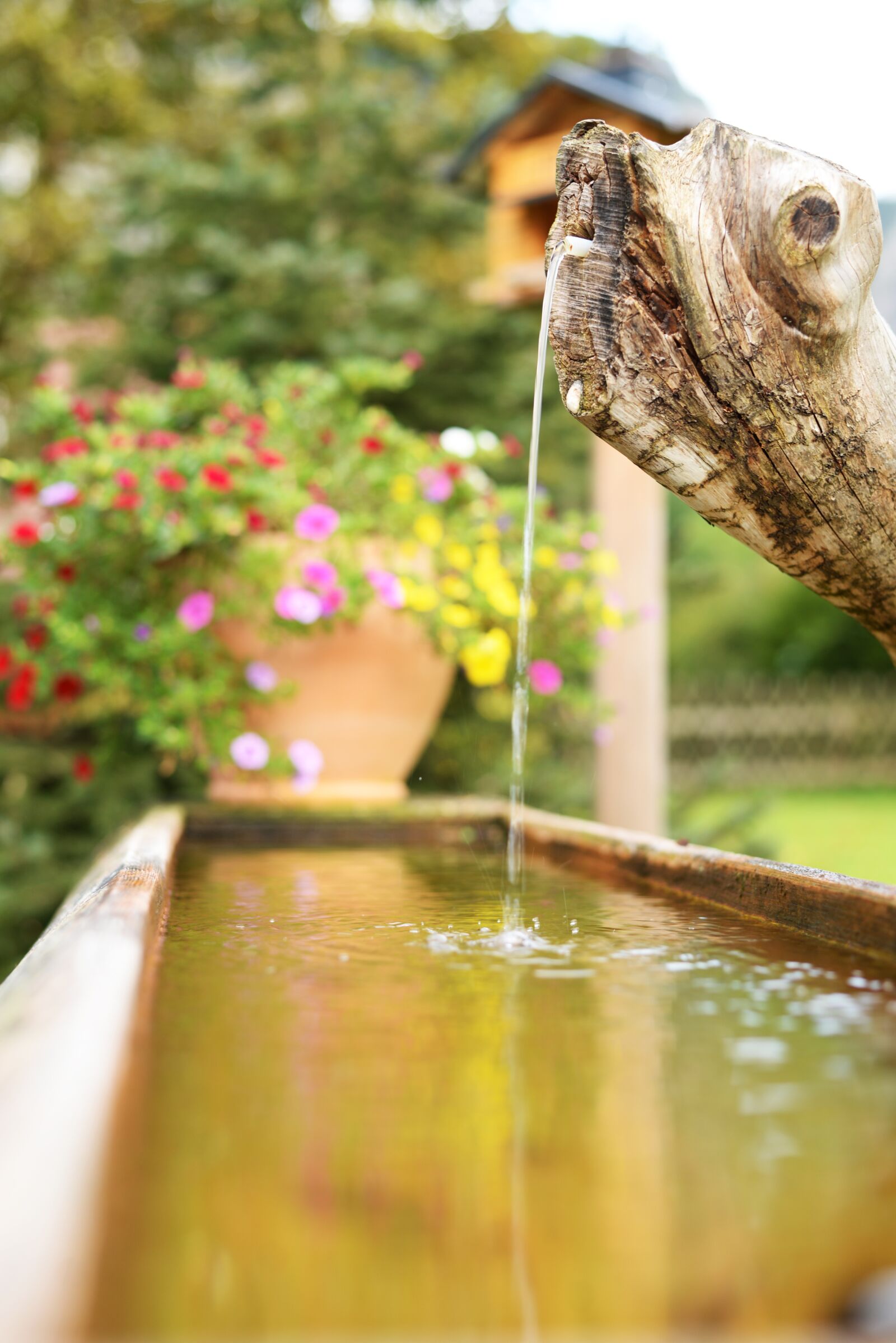 Nikon D610 sample photo. Well, font, water photography