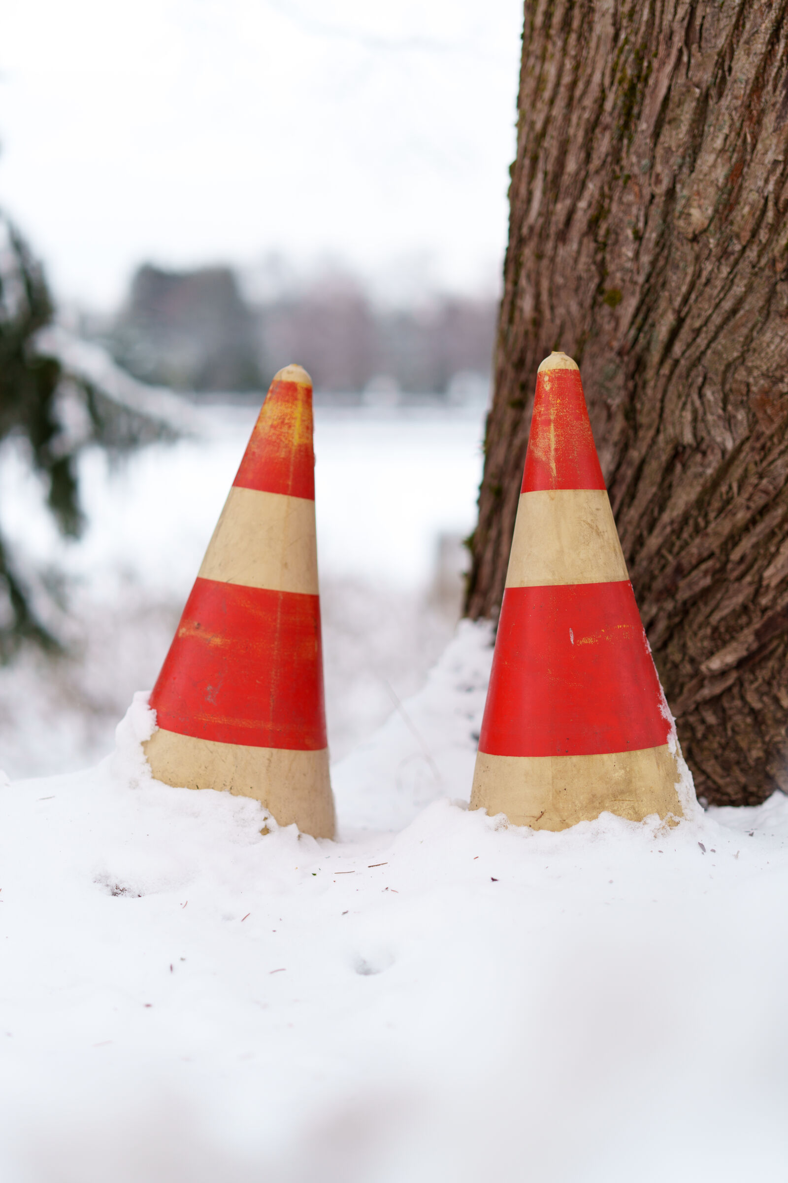Sony a7R V sample photo. Pair of traffic cones photography