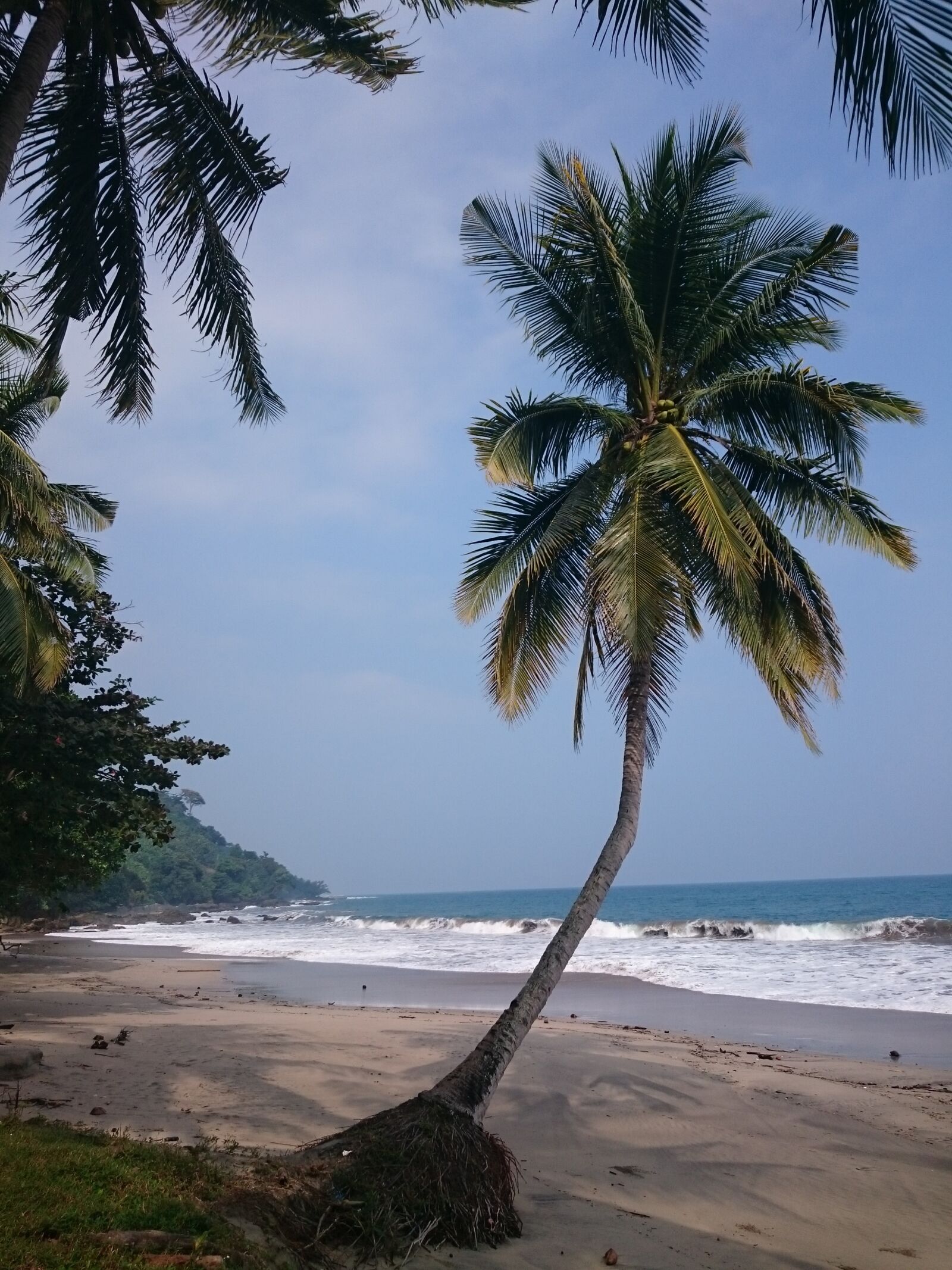 Sony Xperia Z3 sample photo. Palm, asia, beach photography