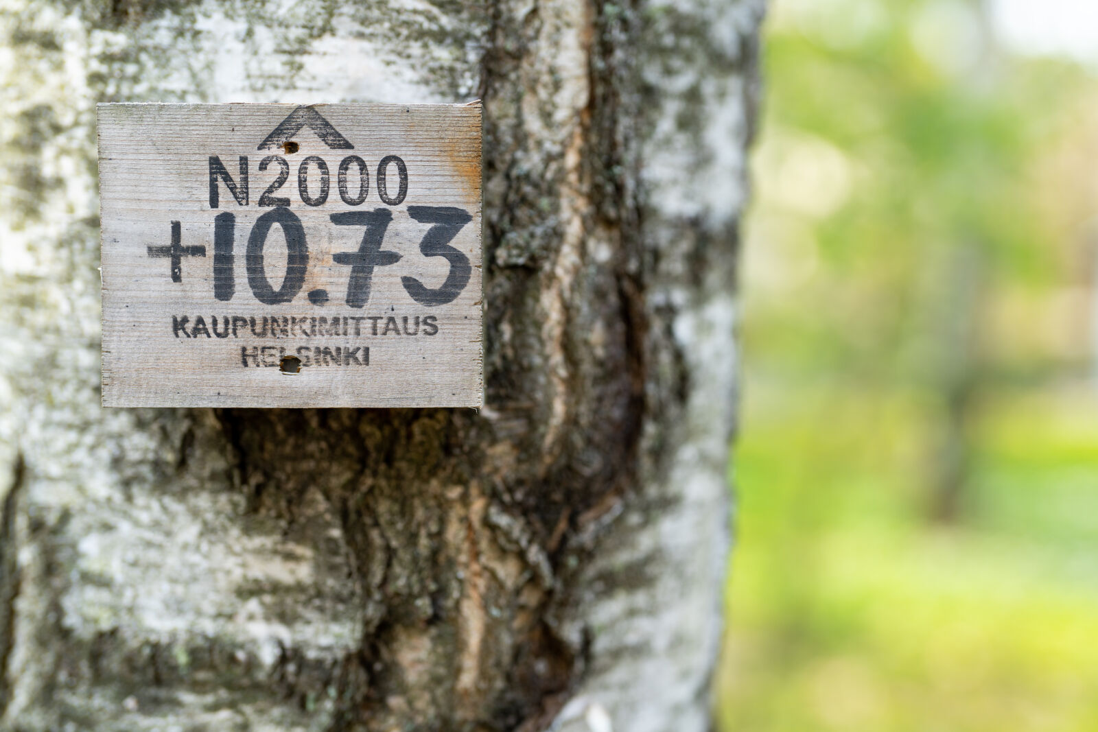 Sony a7R IV sample photo. Sign for tree photography