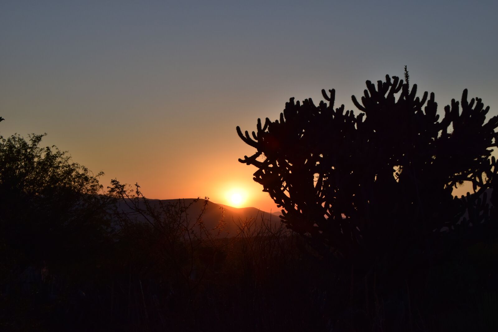 Nikon D3300 sample photo. Afternoon, sunset, sun photography