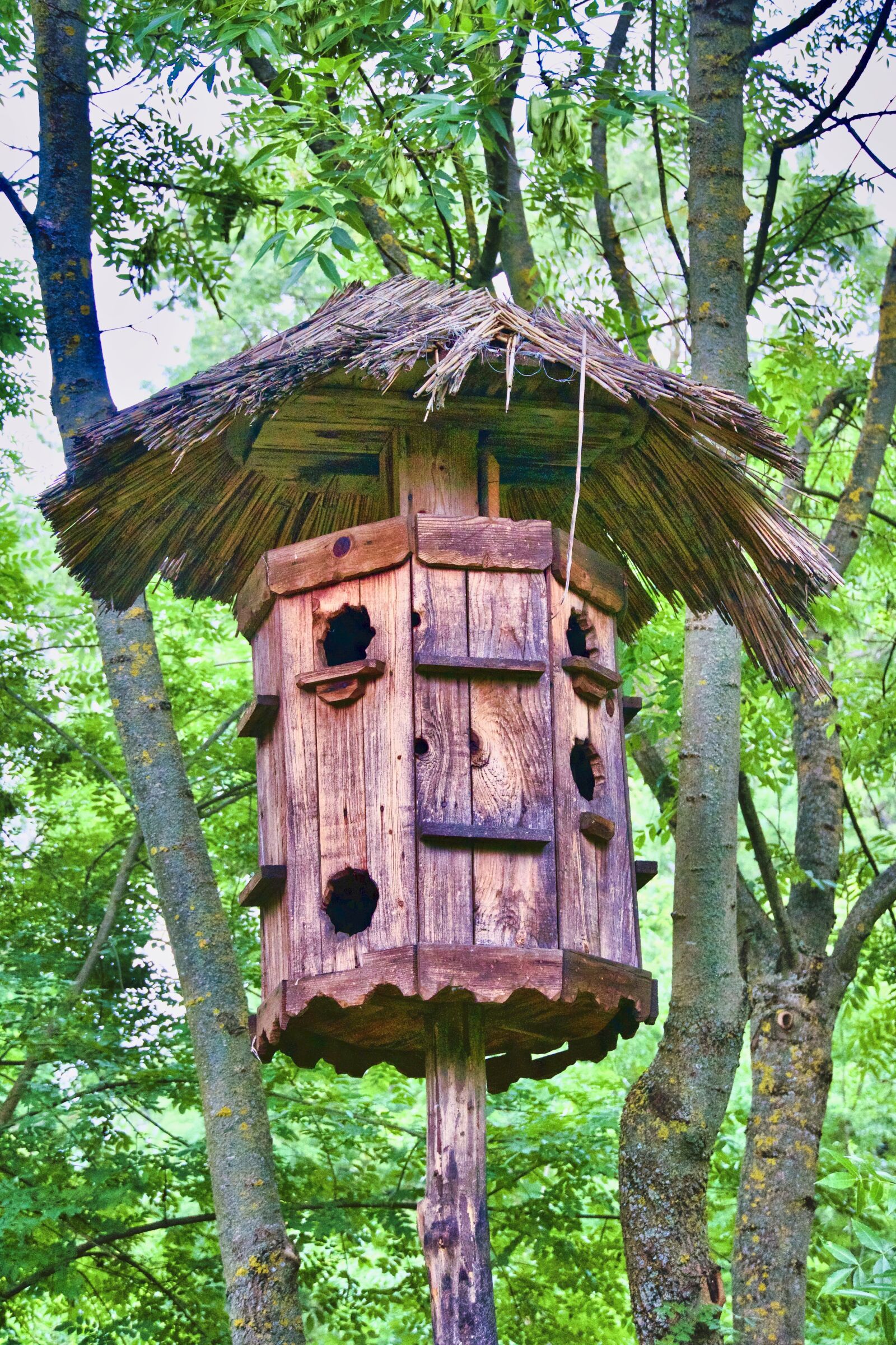 Sony a6500 sample photo. Birdhouse, nest, box photography