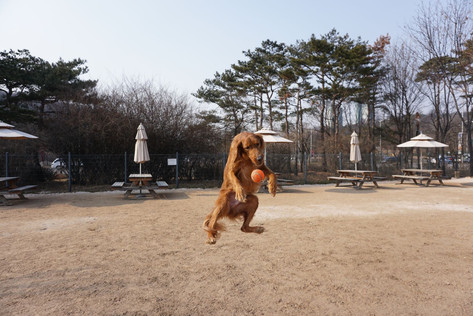 Sony a6000 sample photo. Jump to introduction, jumping photography