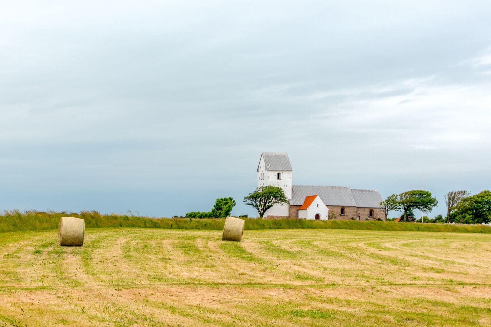 Nikon D7200 sample photo. Meadow, hay, grass photography