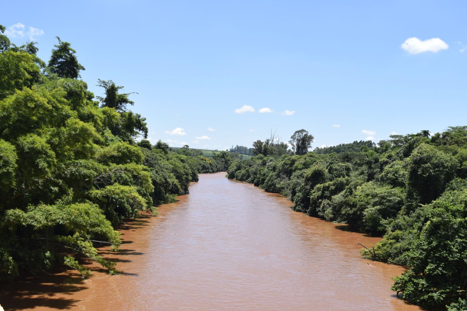 Nikon D3300 sample photo. Brazil, s o paulo photography