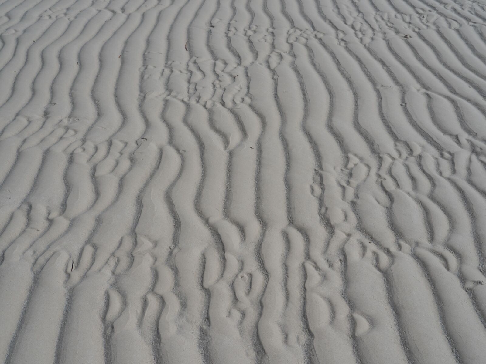 Olympus OM-D E-M1 Mark II sample photo. Beach, sand, summer photography