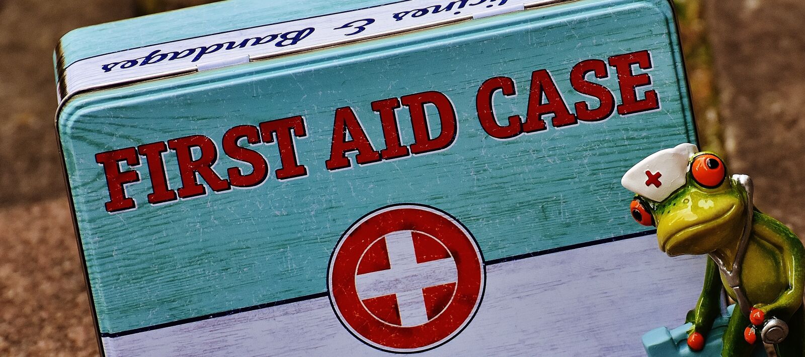 Nikon D7200 sample photo. First aid, frog, medic photography