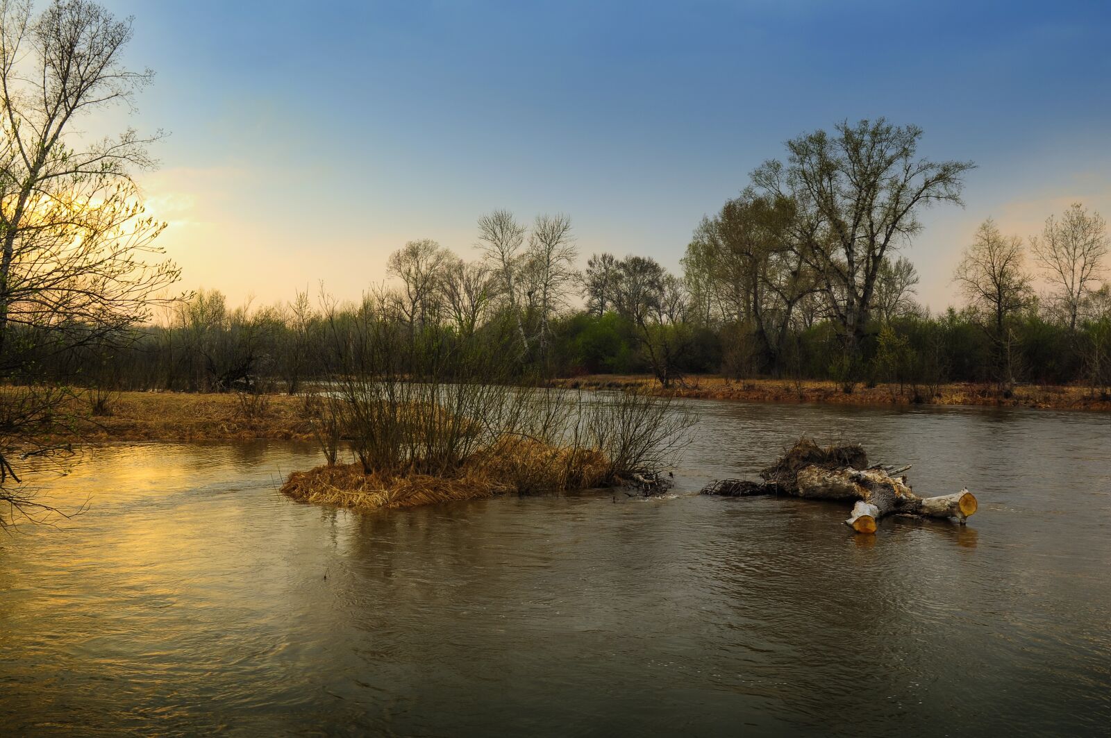 Nikon D5000 sample photo. Spring, nature, river photography