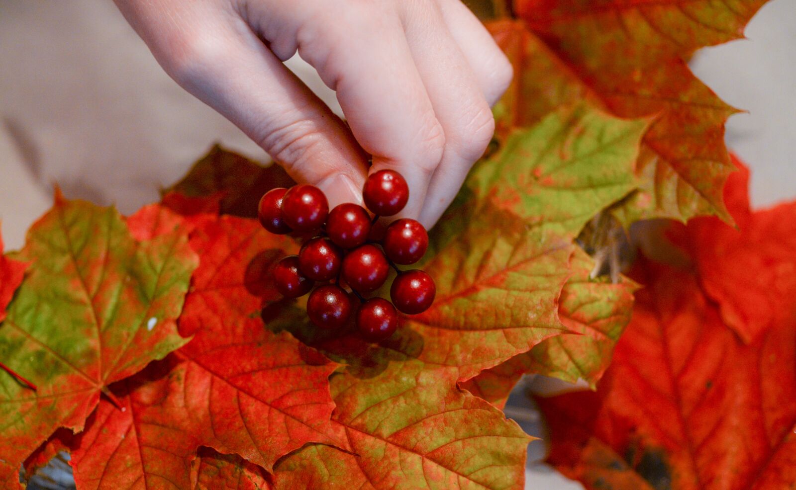 Nikon D610 sample photo. Hobby, autumn, leaves photography