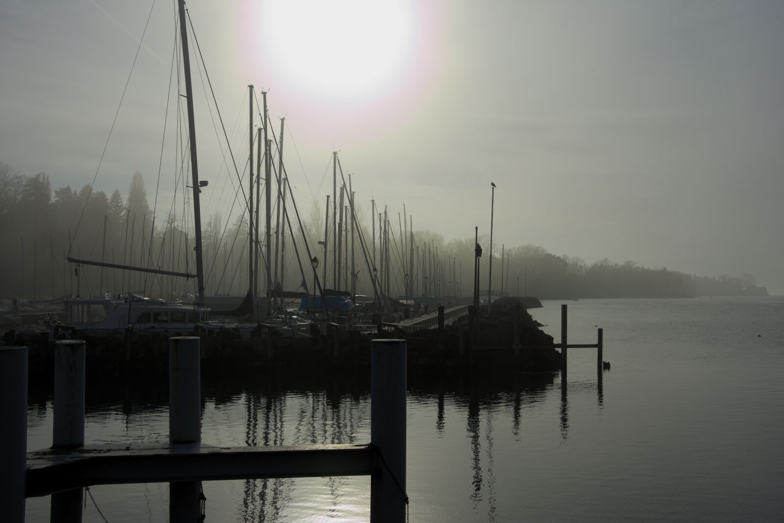 Nikon D7200 sample photo. Lake, boat, switzerland photography