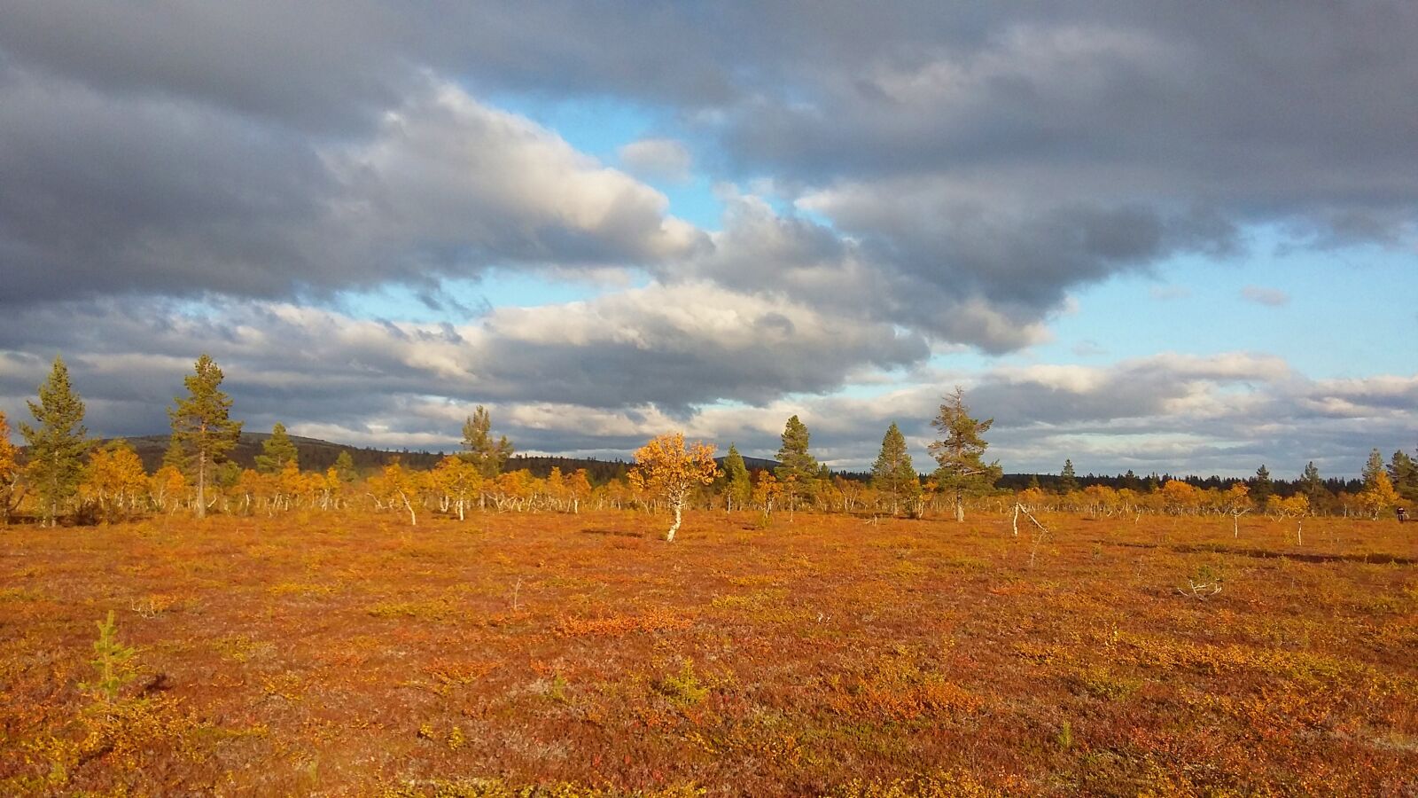 Samsung Galaxy A3 sample photo. Finland, lapland, autumn photography