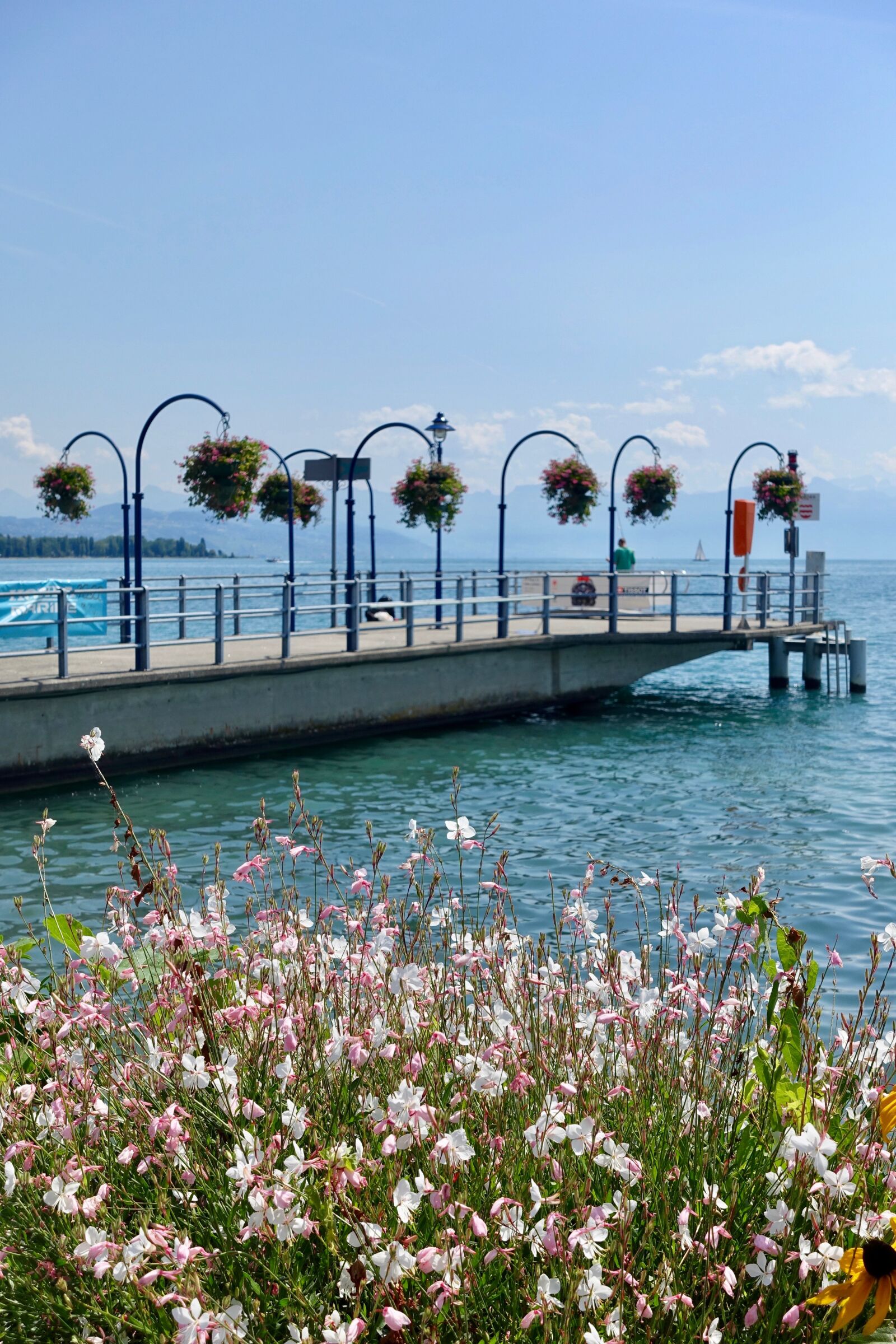 Sony Cyber-shot DSC-RX100 III sample photo. Pier, jetty, flowers photography