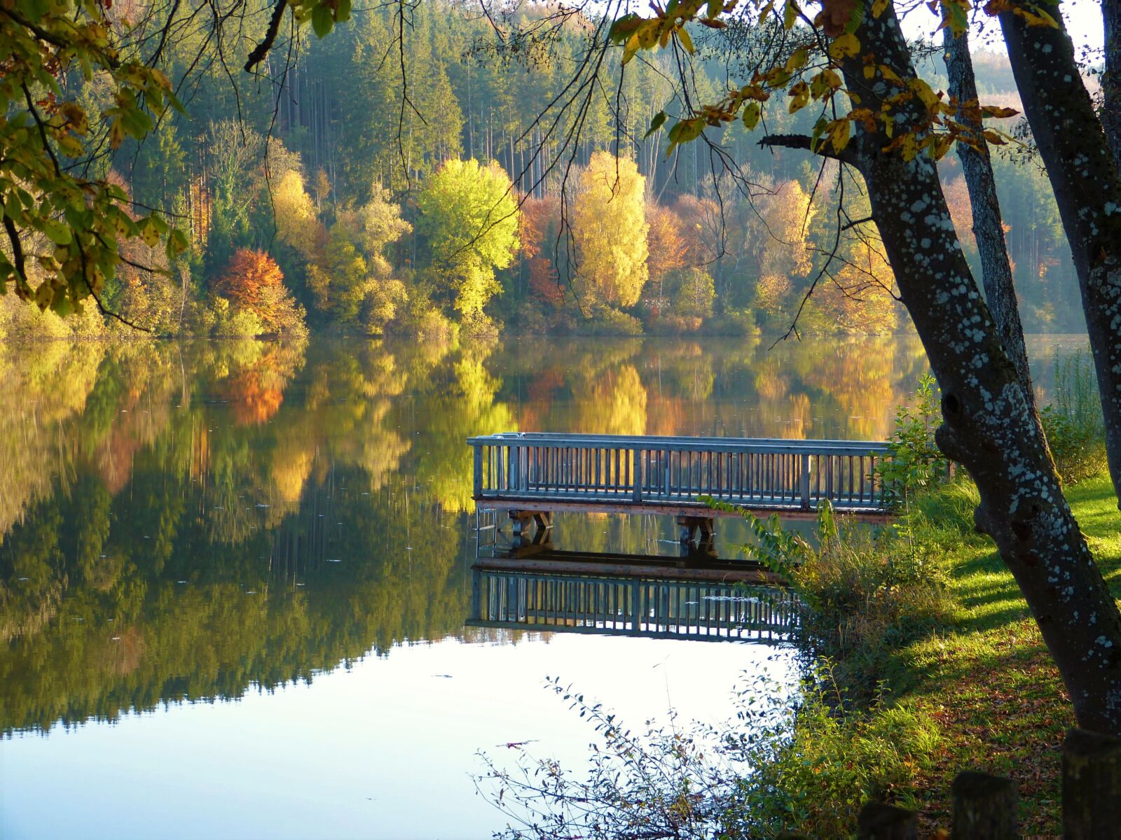 Panasonic Lumix DMC-FZ150 sample photo. Pond, lake, forest photography