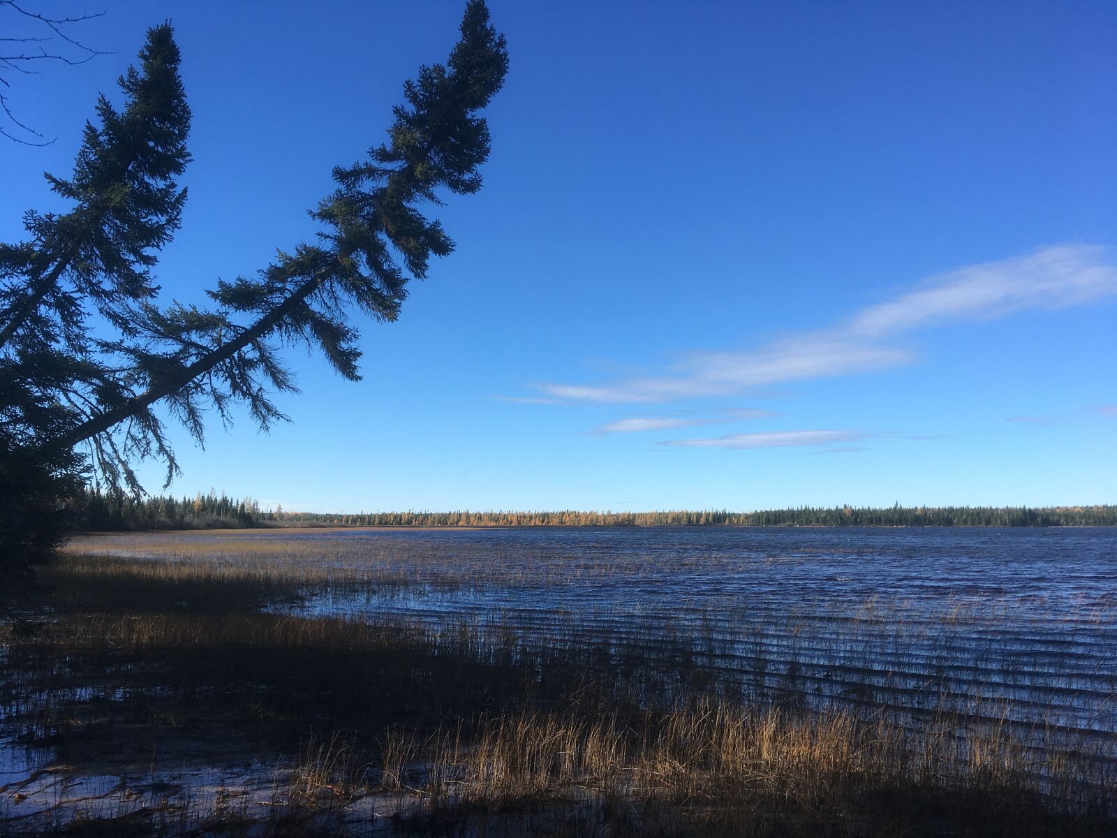 iPhone SE back camera 4.15mm f/2.2 sample photo. Quebec, lake, wilderness photography