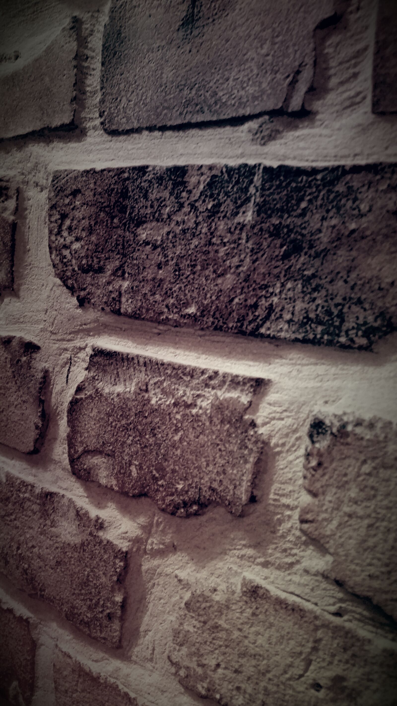 Samsung Galaxy S5 sample photo