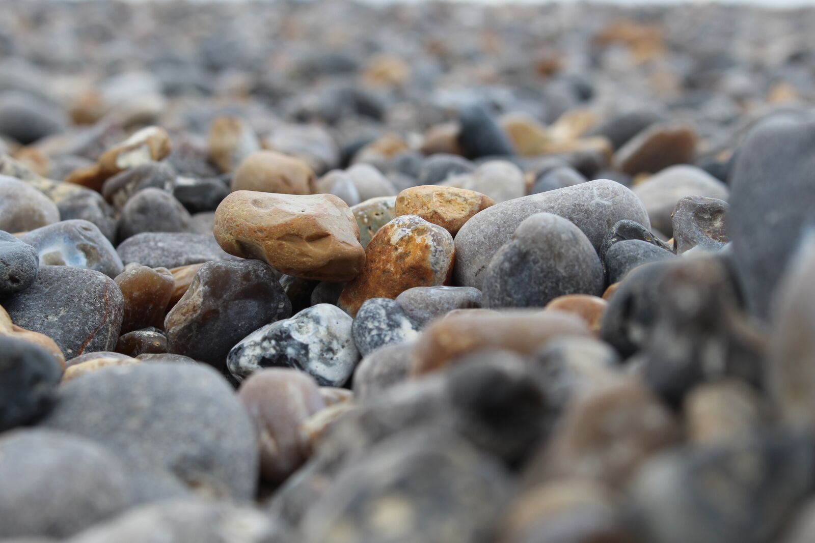 Canon EOS 100D (EOS Rebel SL1 / EOS Kiss X7) sample photo. Gallets, beach, macro photography