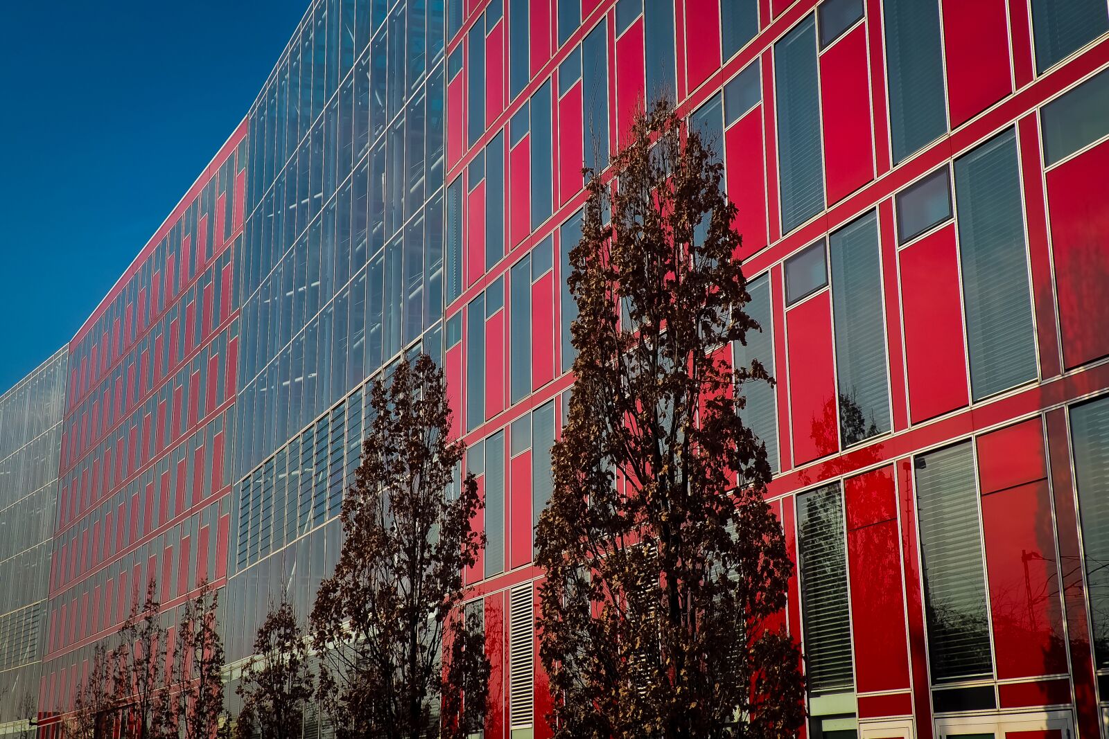 Olympus OM-D E-M10 sample photo. Architecture, modern, building photography