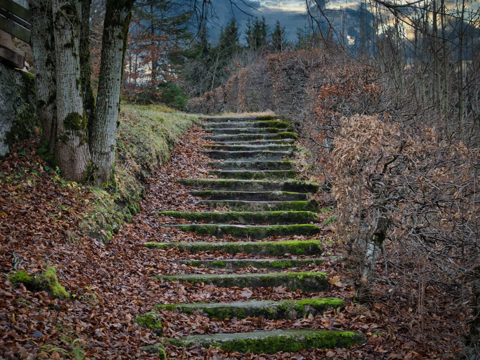 Nikon D7100 sample photo. Away, path, stairs photography