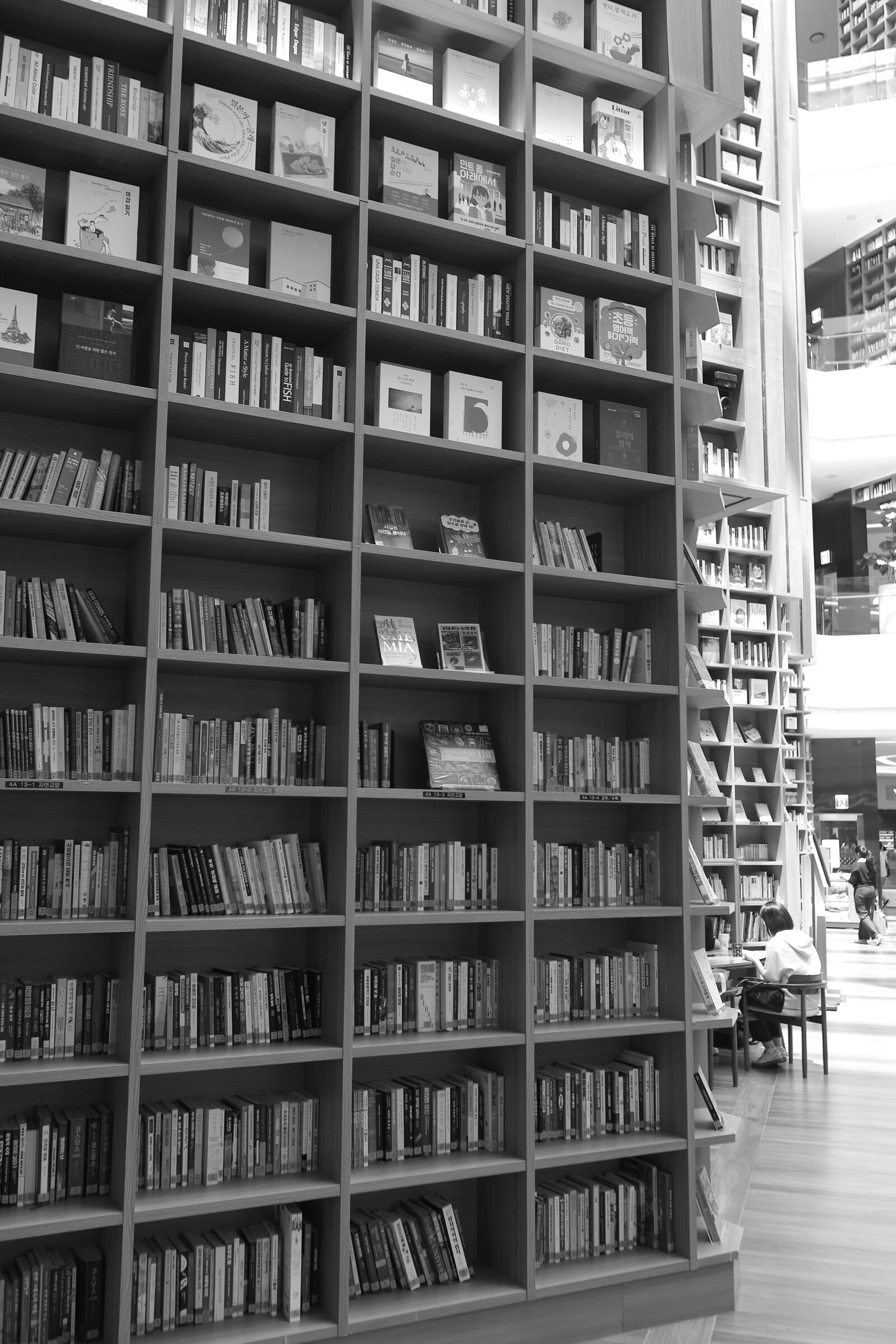 Canon EOS 5D Mark II sample photo. Byeolmadang library at starfield photography
