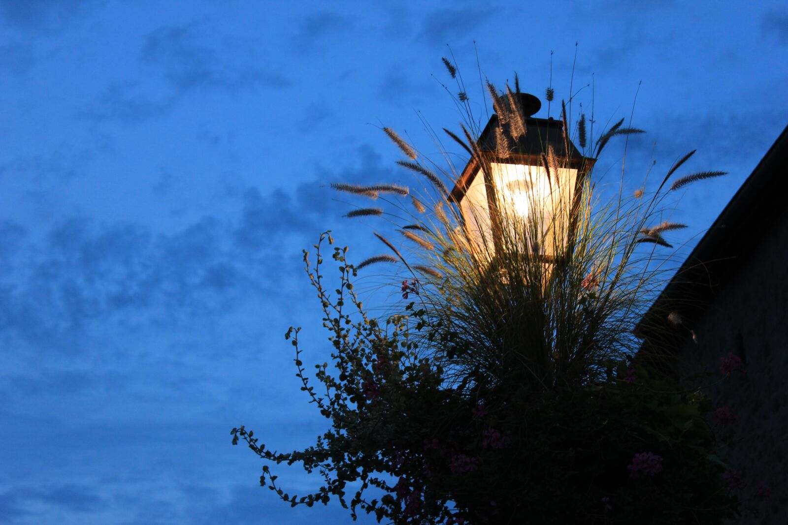 Canon EOS 600D (Rebel EOS T3i / EOS Kiss X5) sample photo. France, alsace, night photography