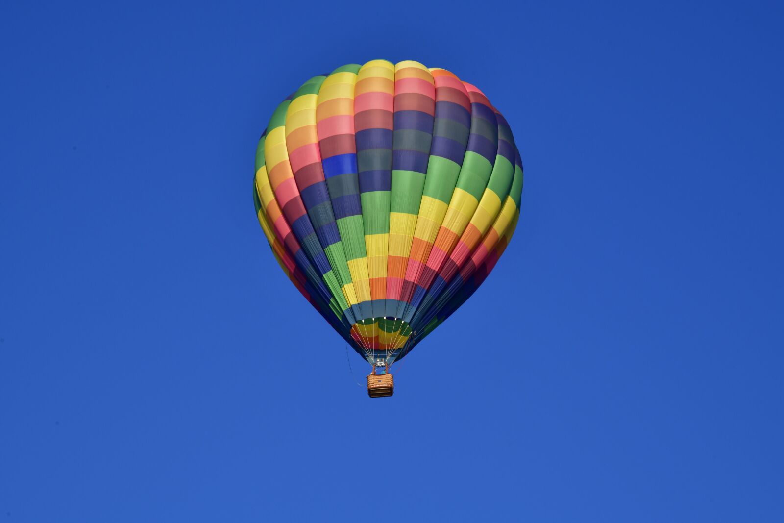 Nikon D850 sample photo. Hot air, balloon, sky photography