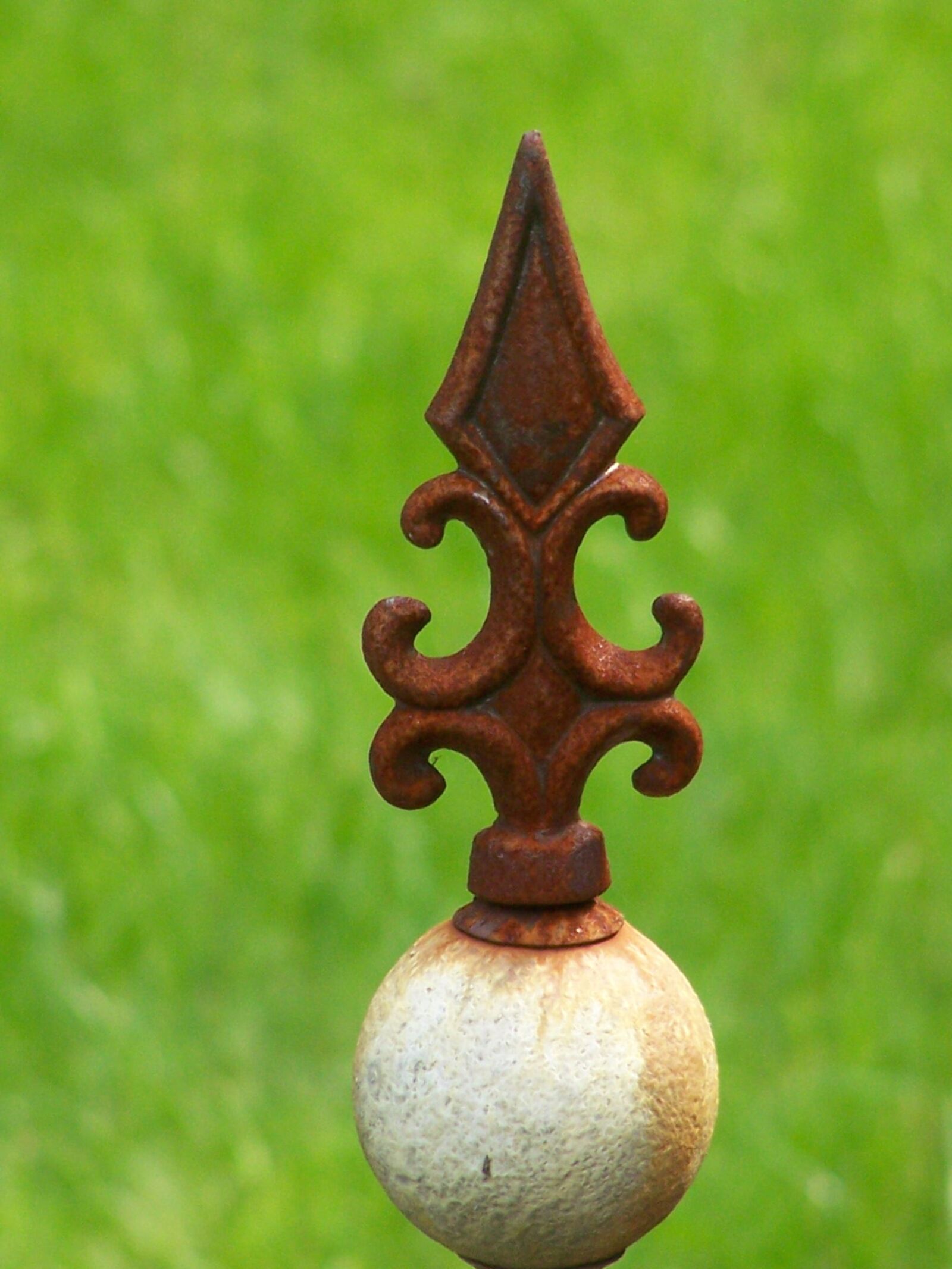 Kodak Z650 ZOOM DIGITAL CAMERA sample photo. Rose rod, close up photography