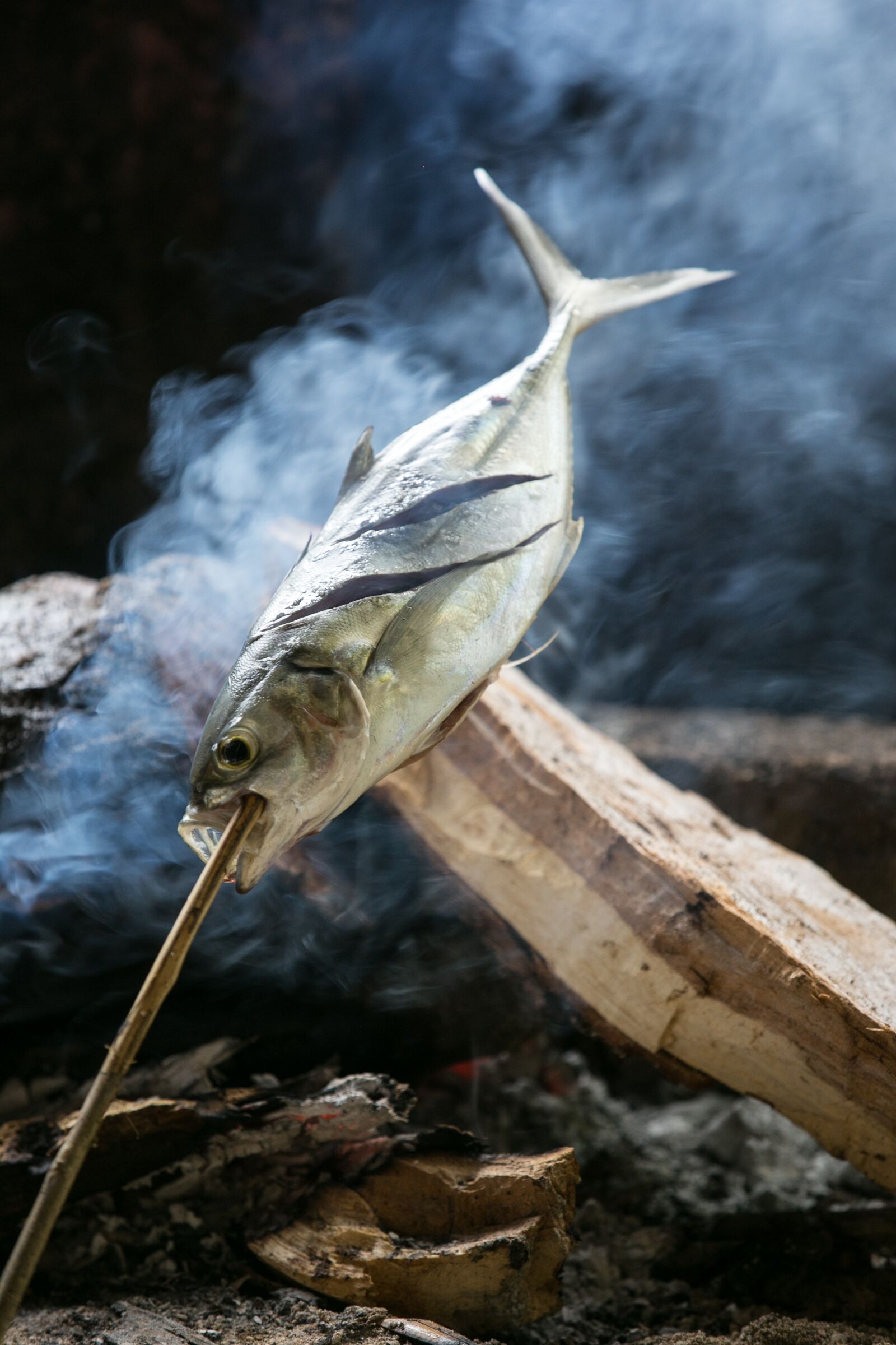 Canon EOS 5D Mark III sample photo. Fish, vacation, fry photography