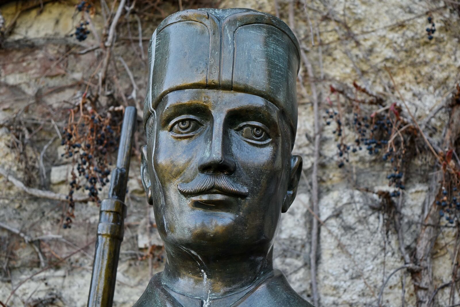 Nikon D5500 sample photo. Sculpture, soldier, war, bust photography