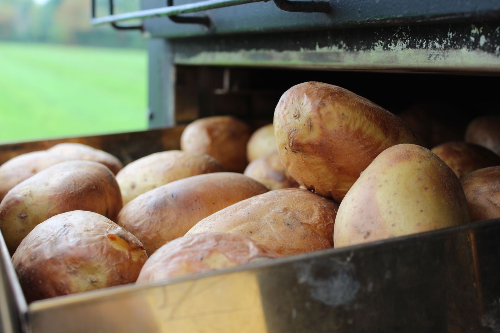 Canon EOS 1200D (EOS Rebel T5 / EOS Kiss X70 / EOS Hi) sample photo. Food, grow, market photography