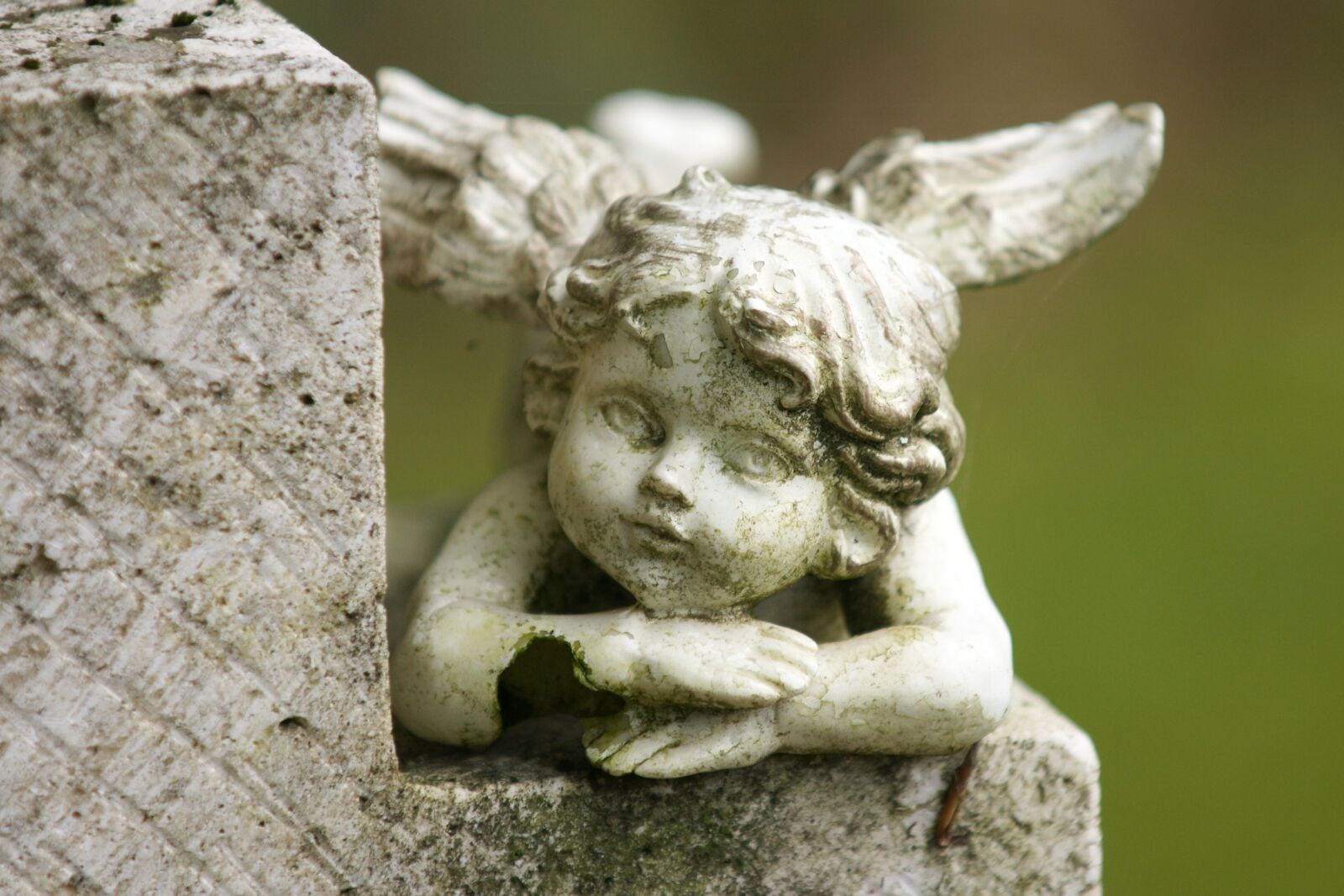 Sony Alpha DSLR-A700 sample photo. Angel, contemplative, figure photography