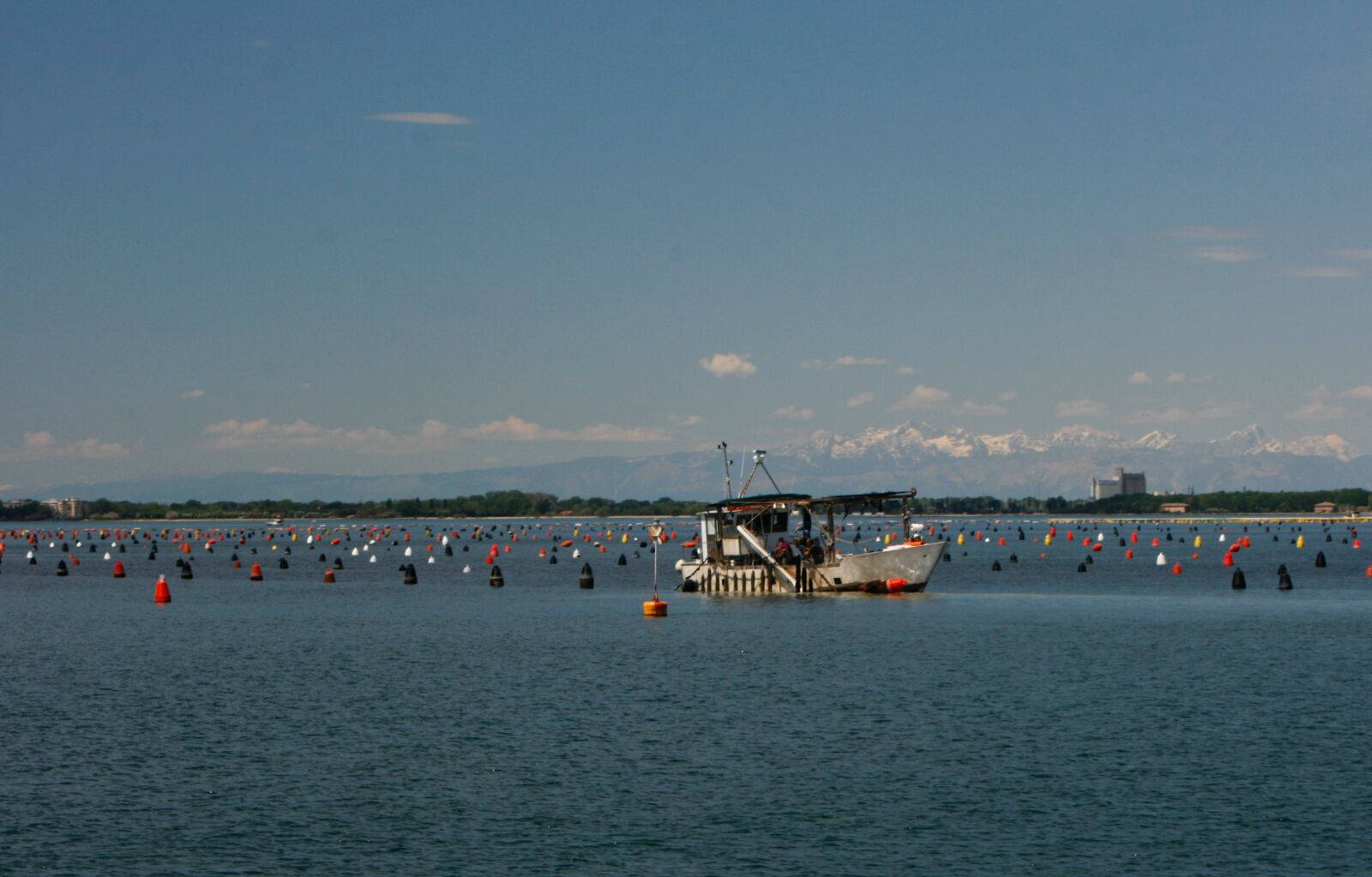 Canon EOS 400D (EOS Digital Rebel XTi / EOS Kiss Digital X) sample photo. Mussels, farm, sea photography
