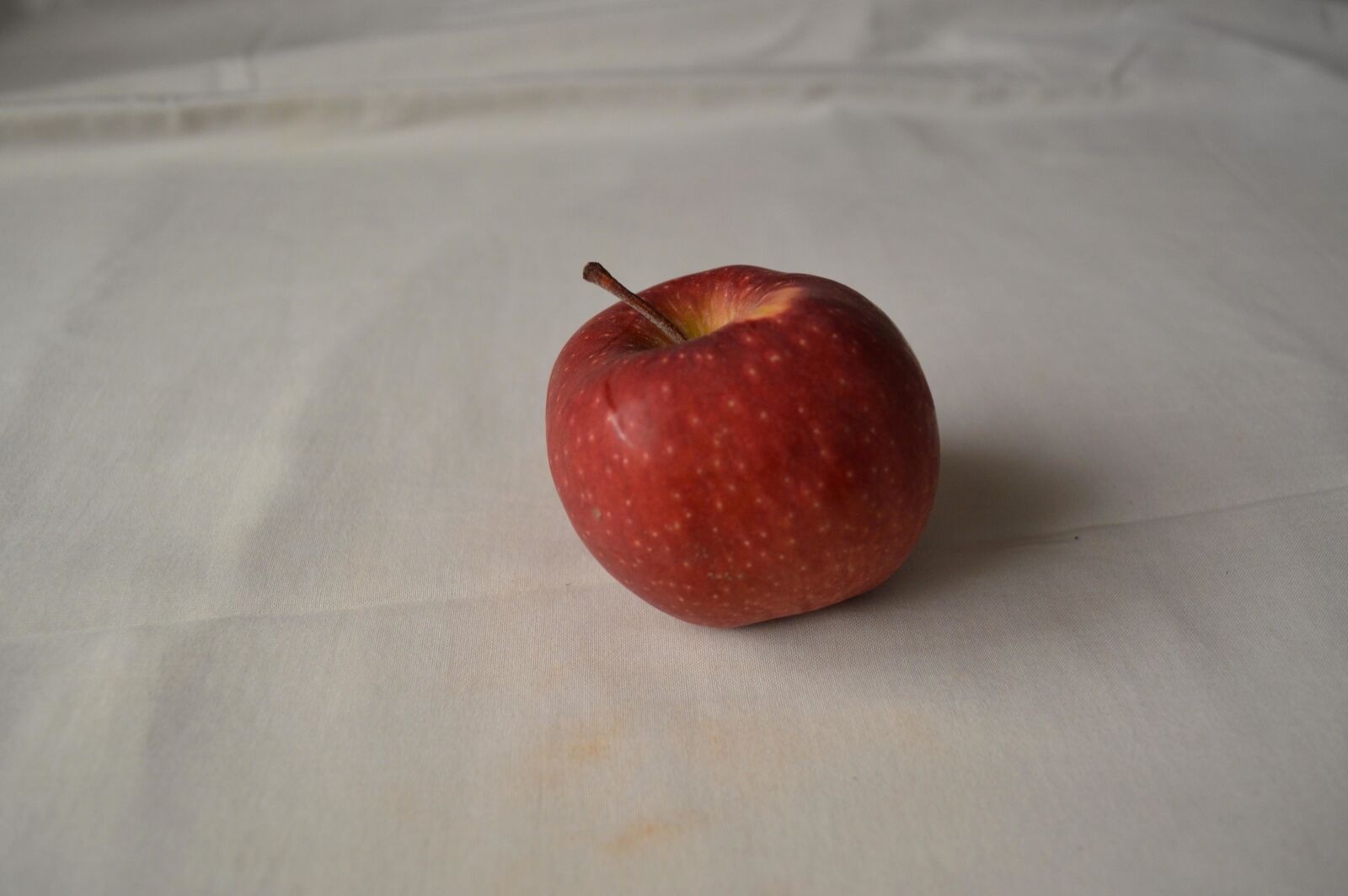 Nikon D3200 sample photo. Red apple, fruit, apple photography