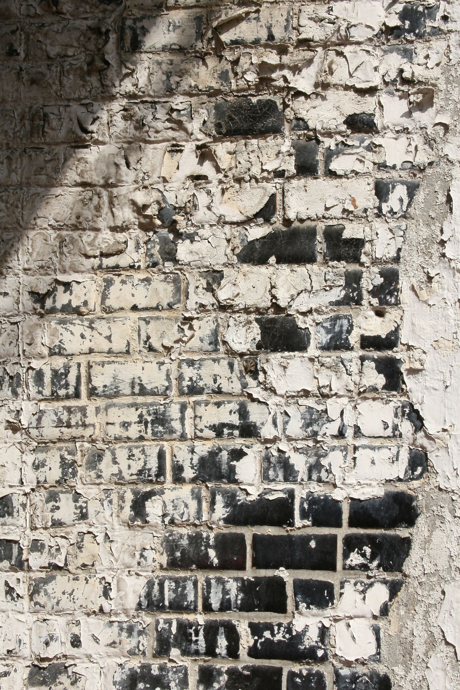 Canon EOS 30D sample photo. Wall, all these years photography