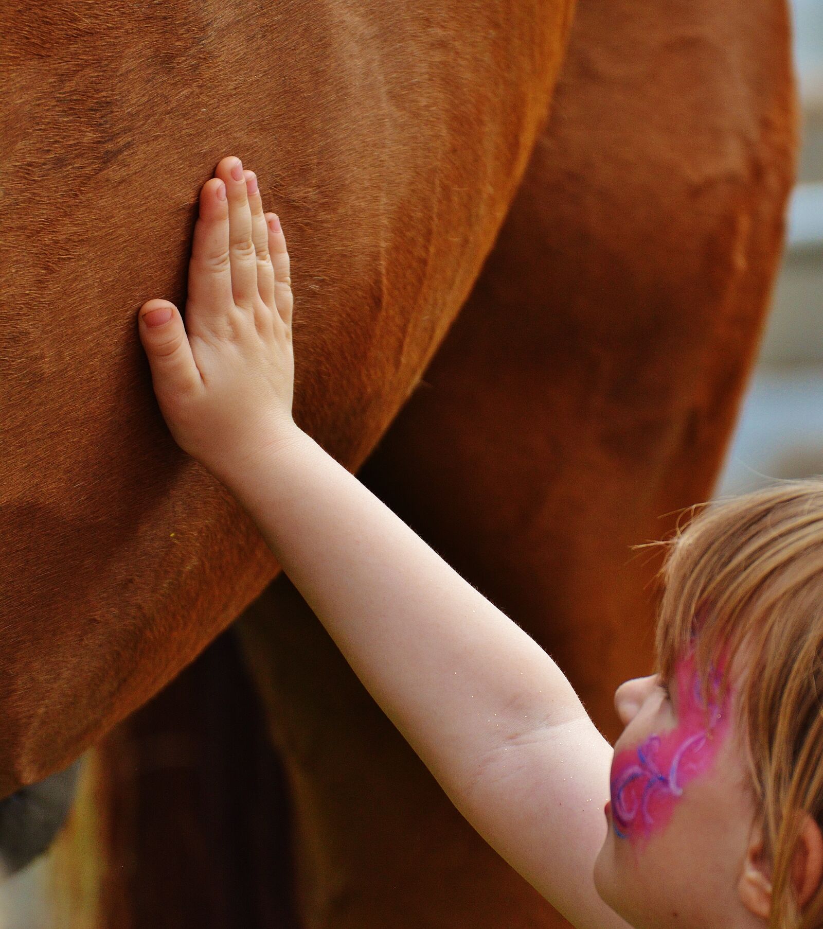 Nikon D3200 sample photo. Little girl, big horse photography