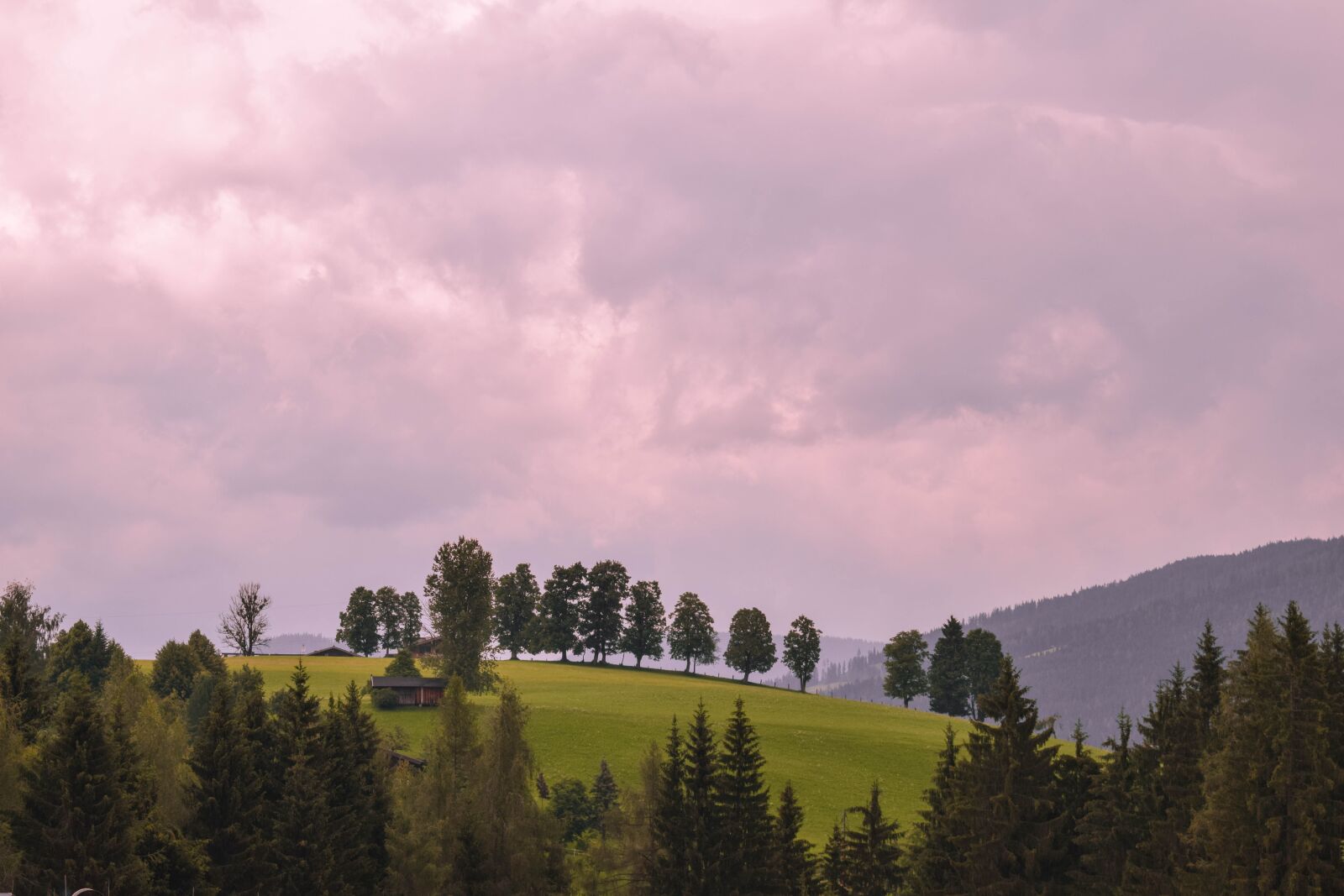 Nikon D3300 sample photo. Trees, hill, landscape photography