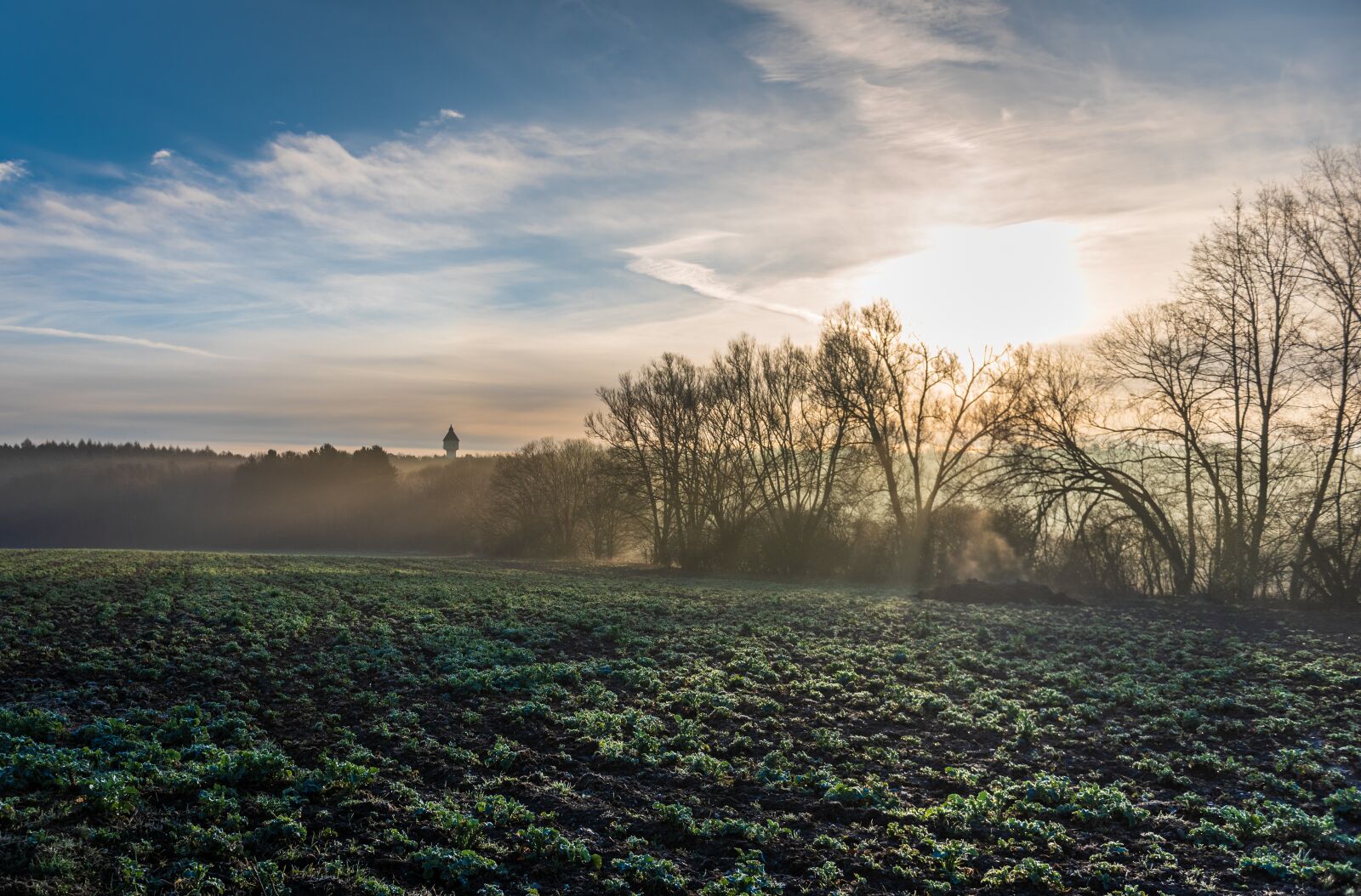 Nikon D750 sample photo. Sunrise, meadow, sky photography
