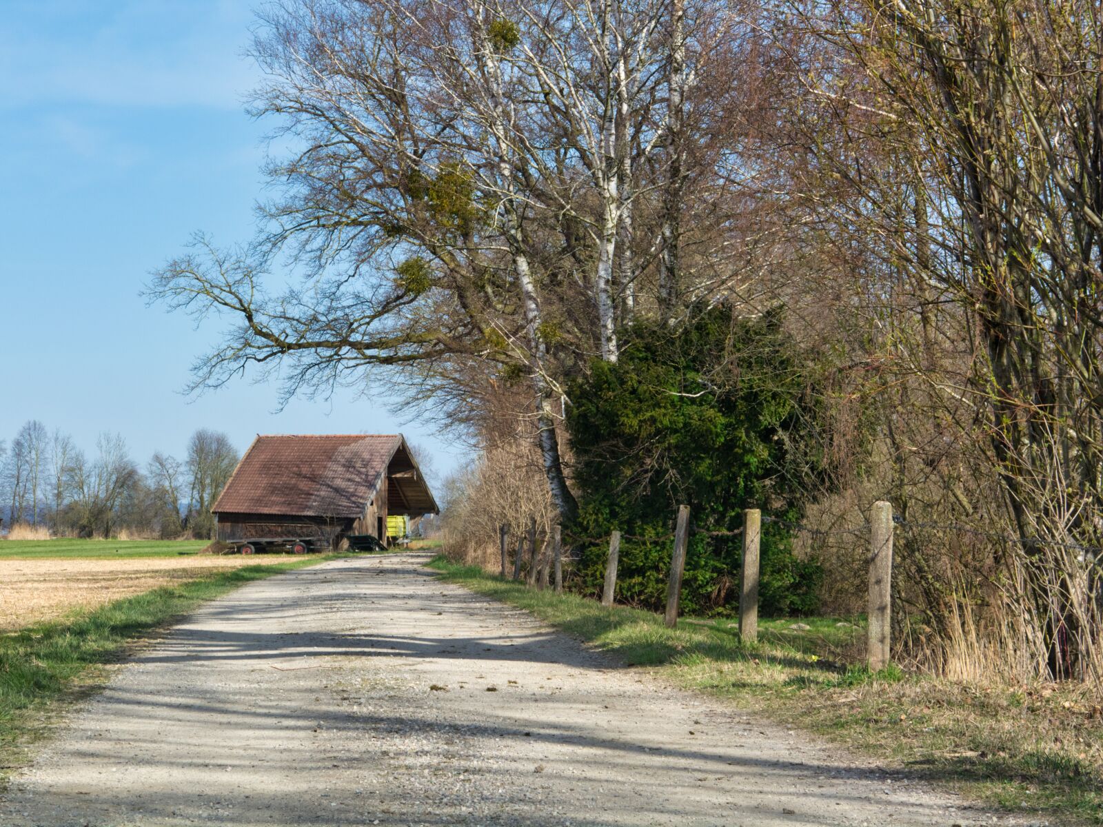 Nikon D7100 sample photo. Lane, away, trees photography