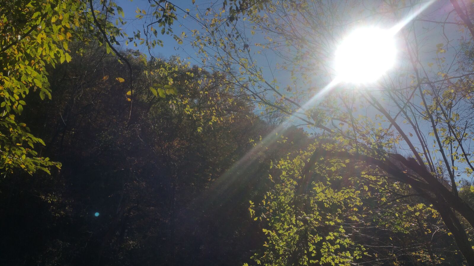 Samsung Galaxy Note4 sample photo. Nature, woods, hike photography