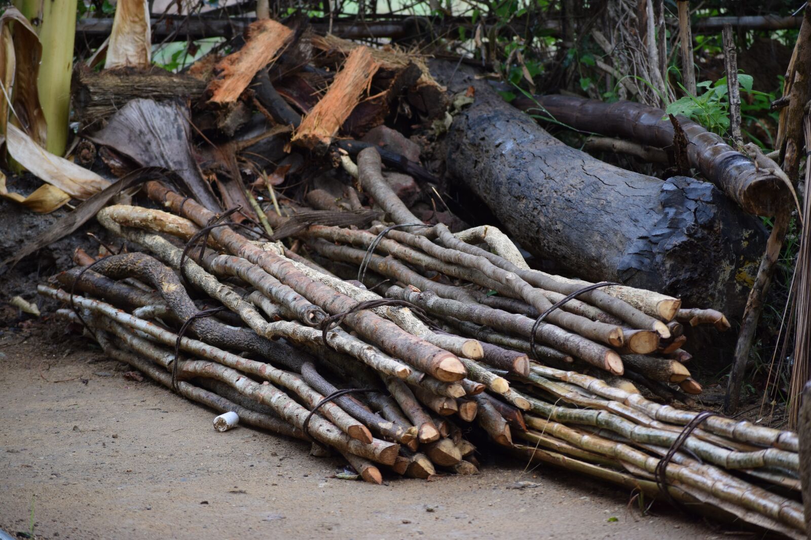 Nikon D3300 sample photo. Wood, jungle, save photography