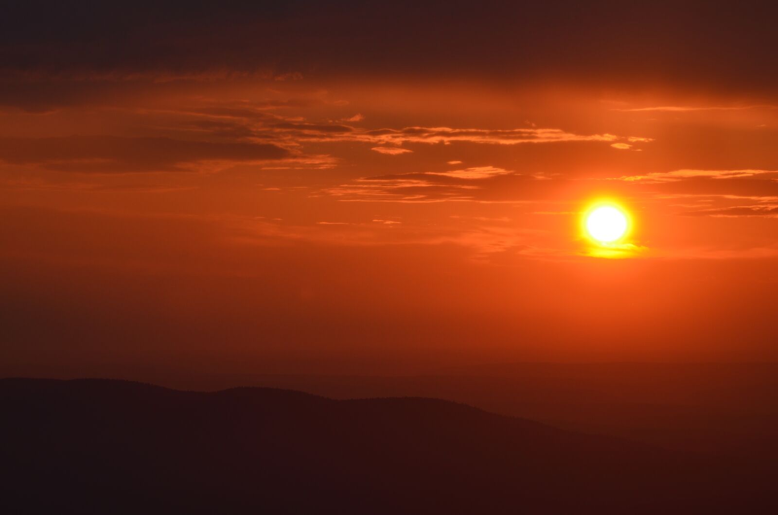 Nikon D5100 sample photo. Sun, nature, landscapes photography
