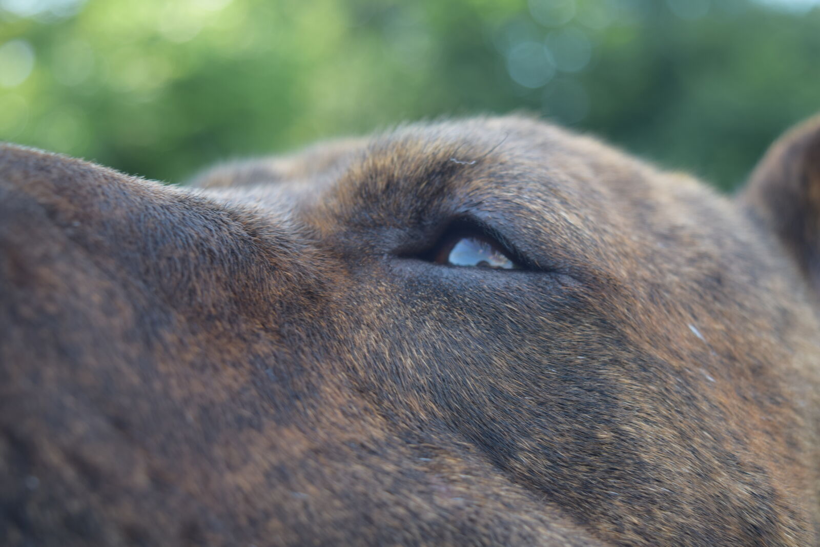 Nikon D3300 sample photo