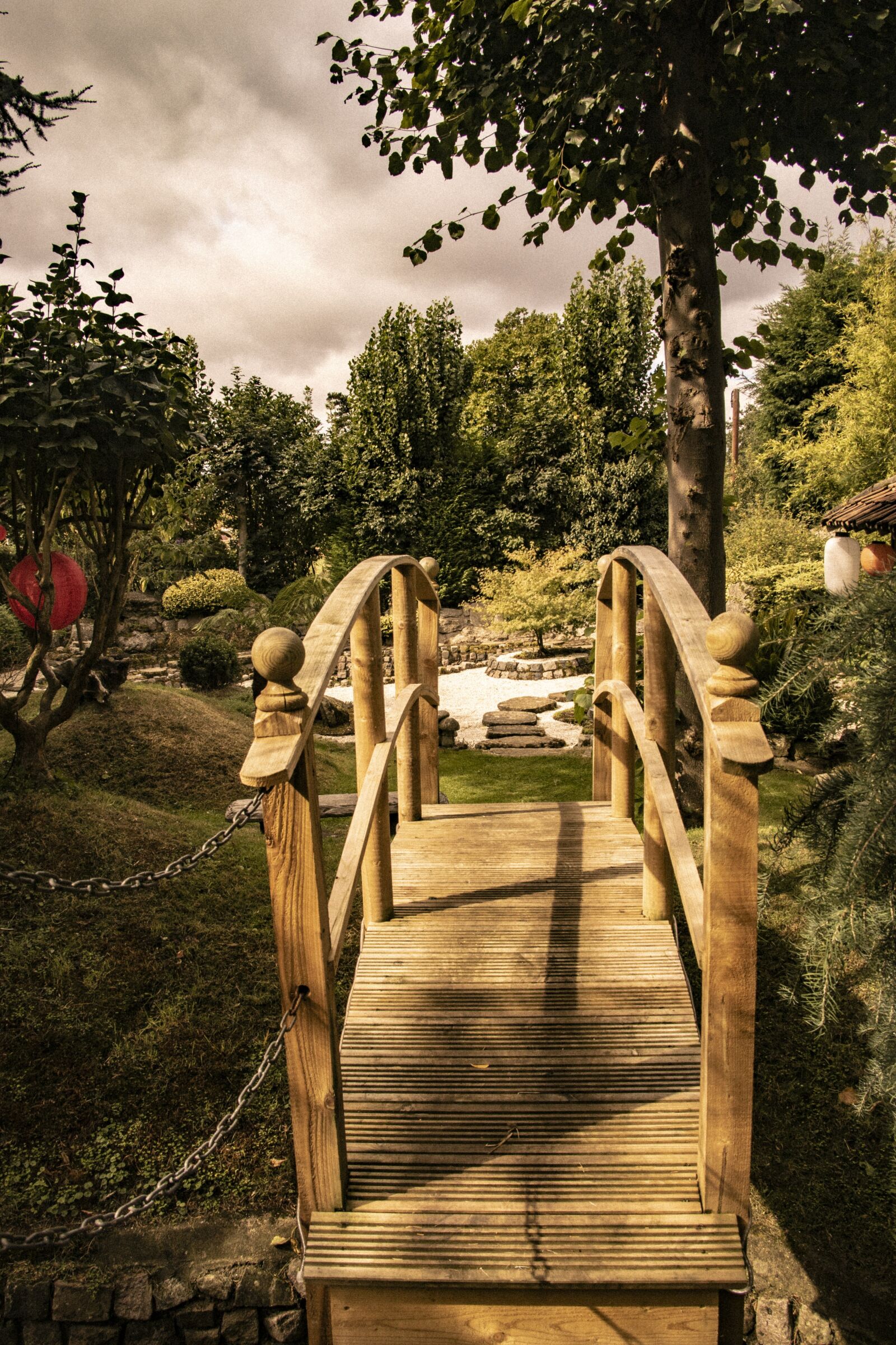 Canon EOS 7D Mark II sample photo. Nature, landscapes, tree photography
