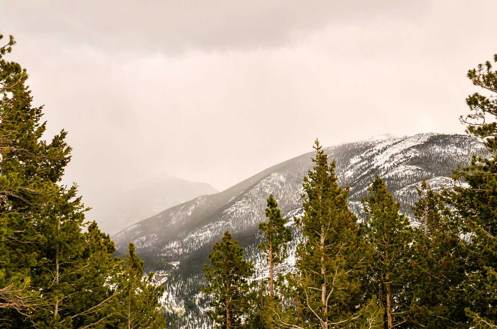 Nikon D7000 + Nikon AF-S DX Nikkor 35mm F1.8G sample photo. Fog, mountain, mountains, national photography