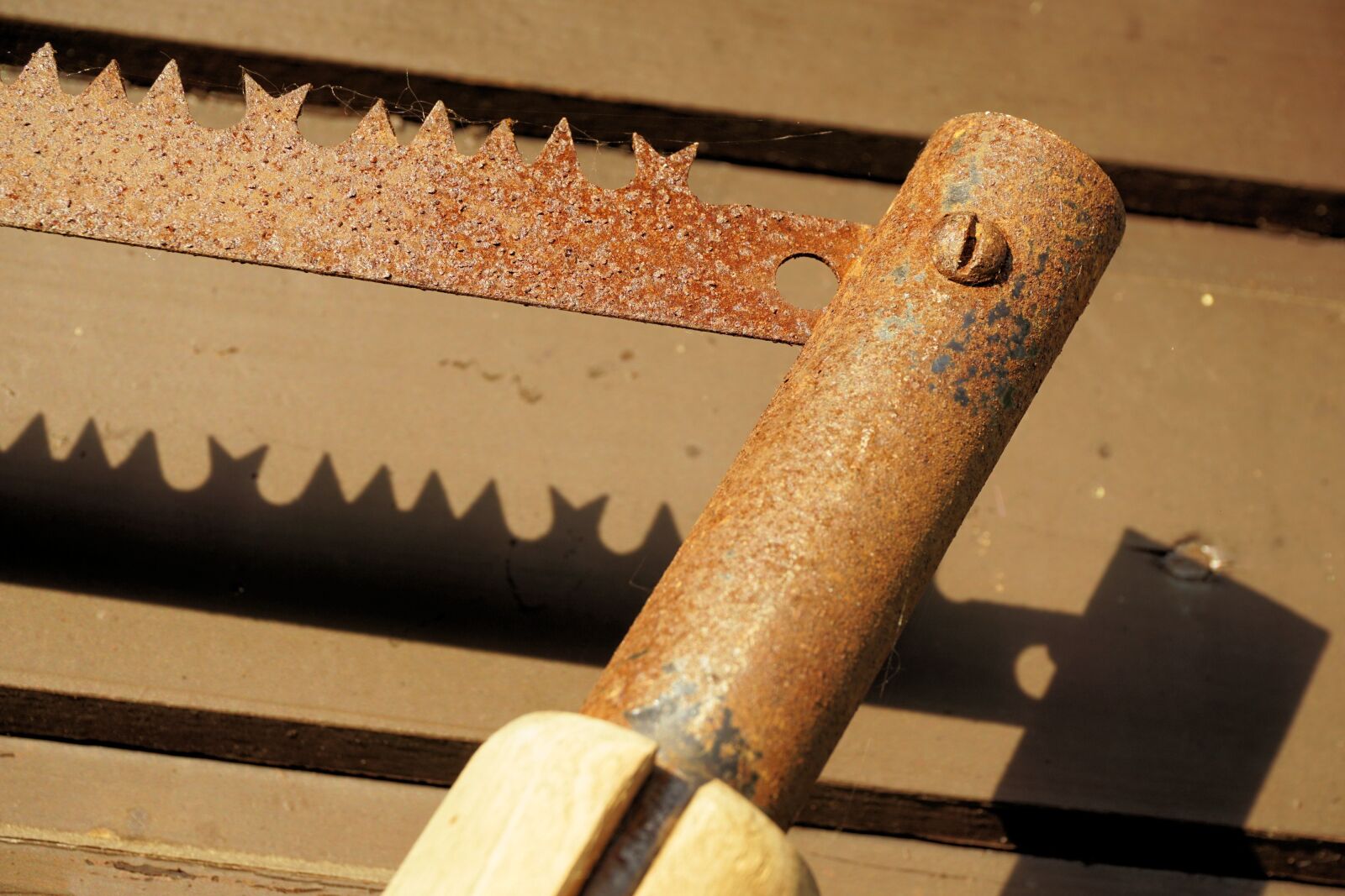 Sony a6000 sample photo. Saw, wood saw, rust photography