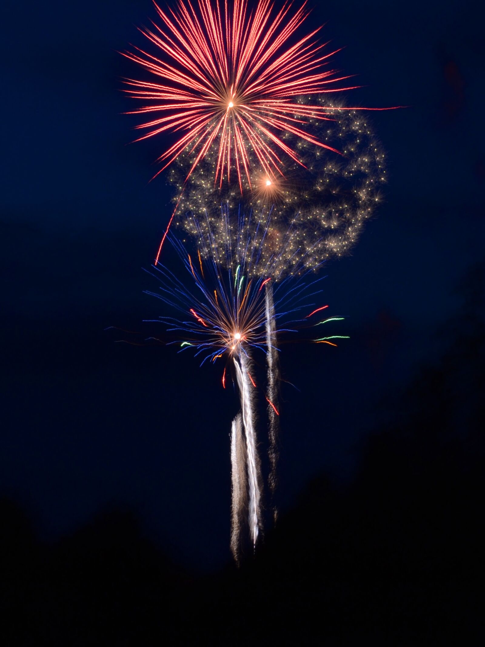 Nikon D3100 sample photo. Fireworks, 4th of july photography