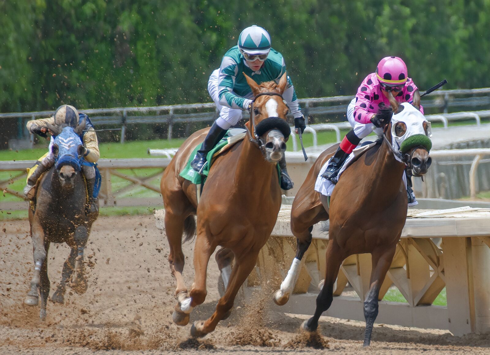 Nikon D850 sample photo. Horse, horse race, race photography