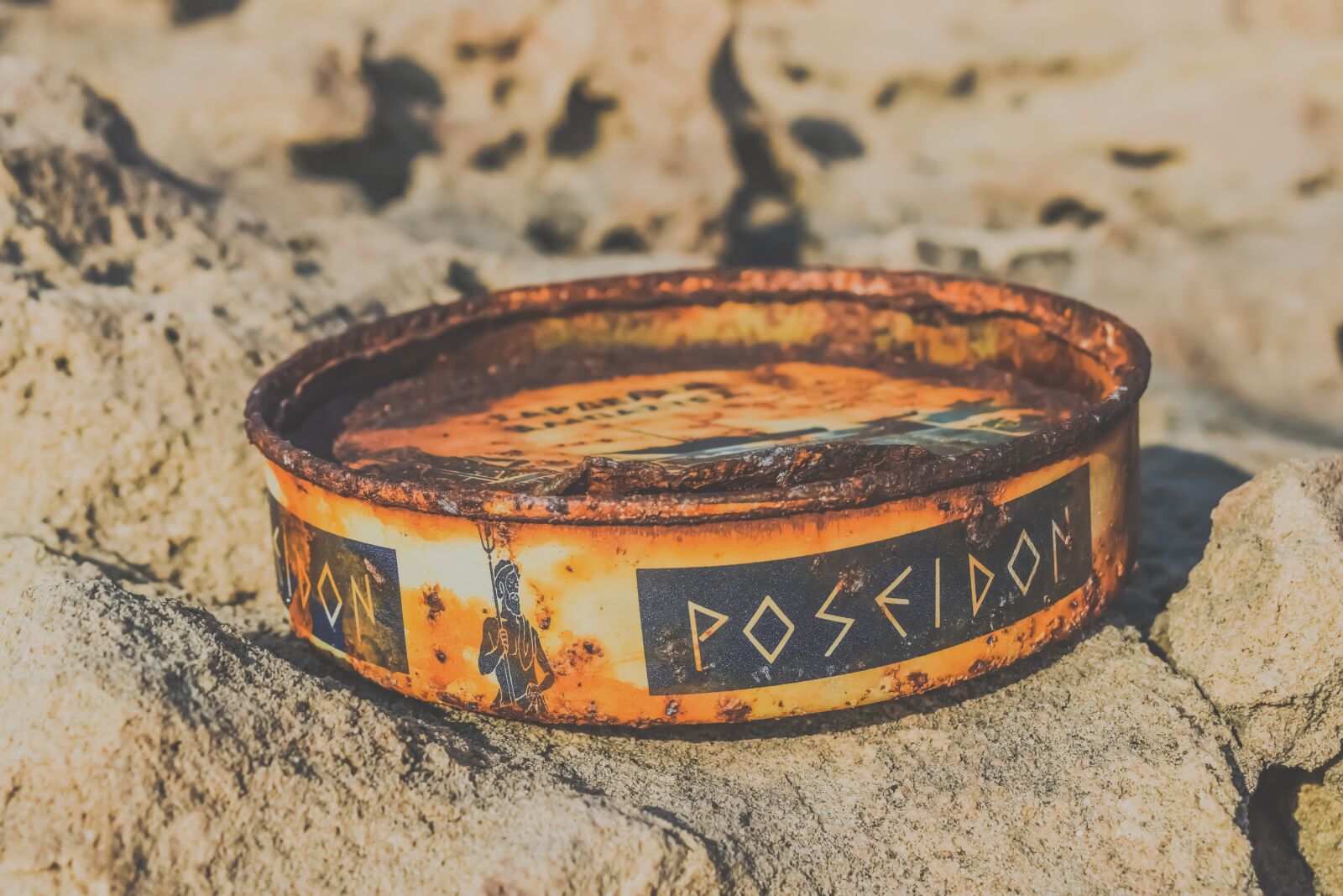 Nikon D3300 sample photo. Can, empty, rusty photography