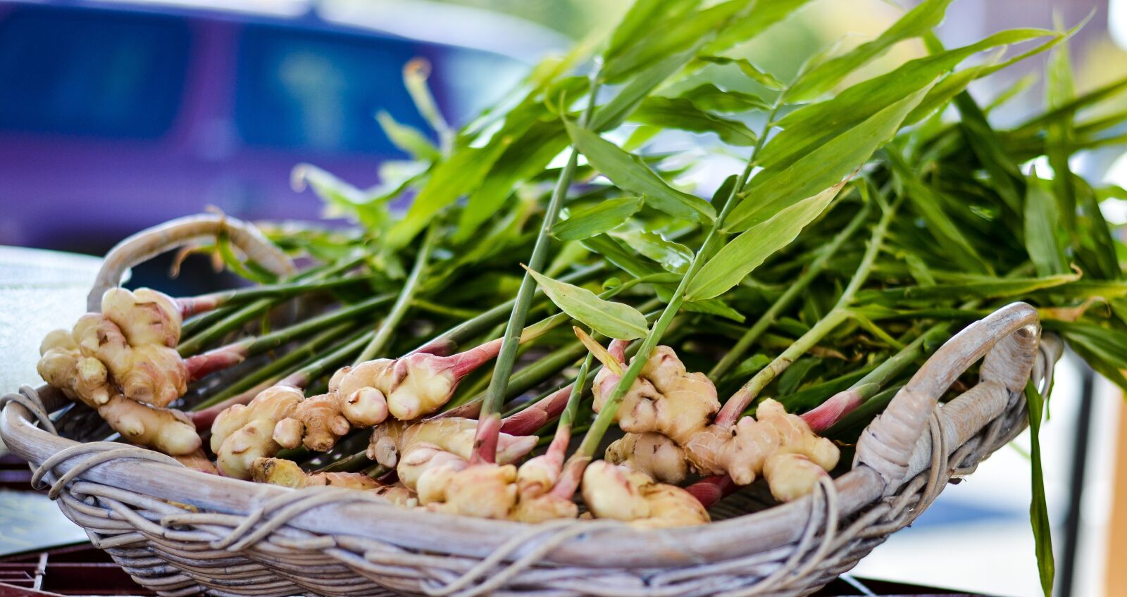 Nikon D3100 sample photo. Ginger, local food, market photography
