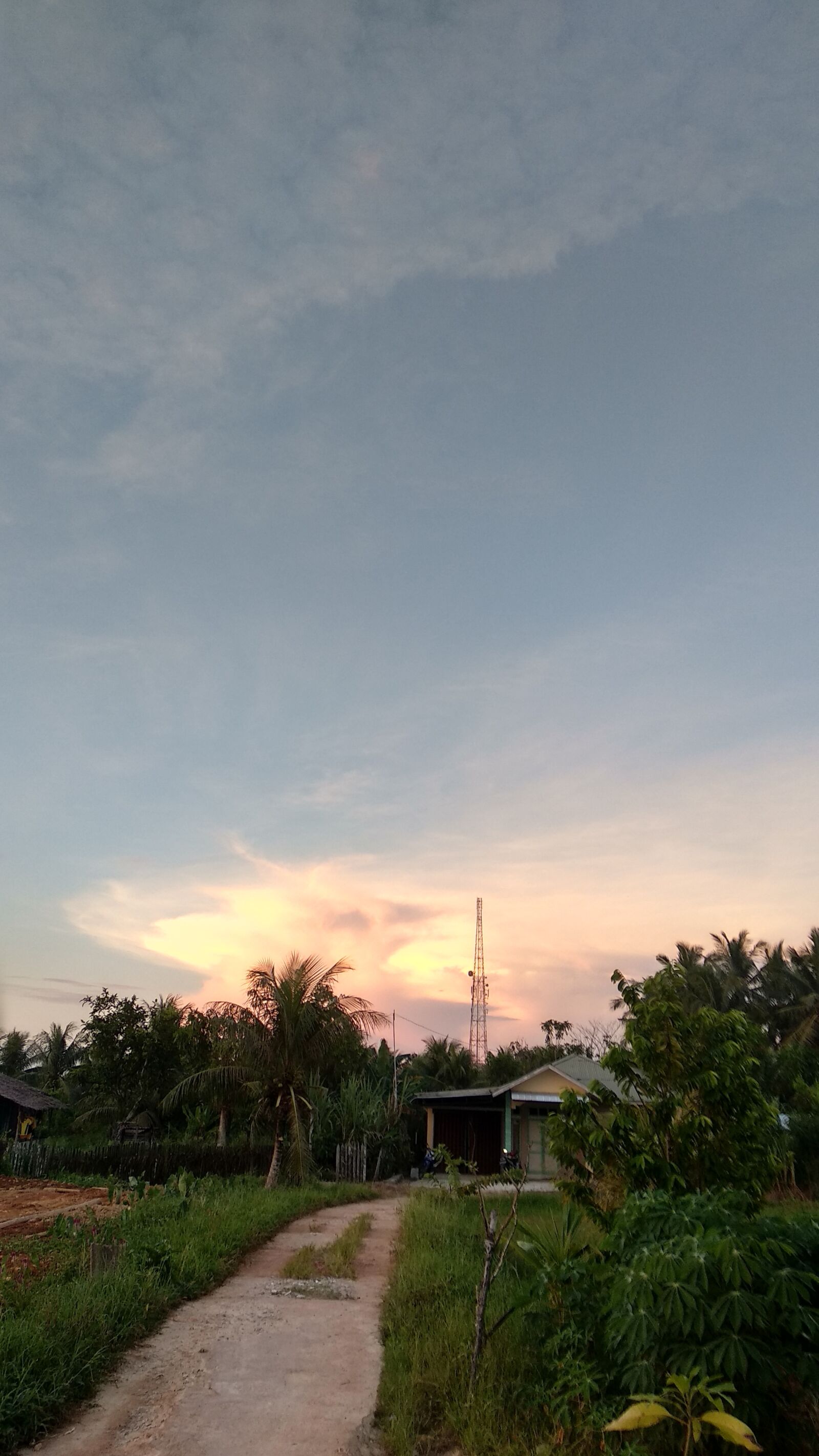 Xiaomi Mi A1 sample photo. Path, single, sky photography