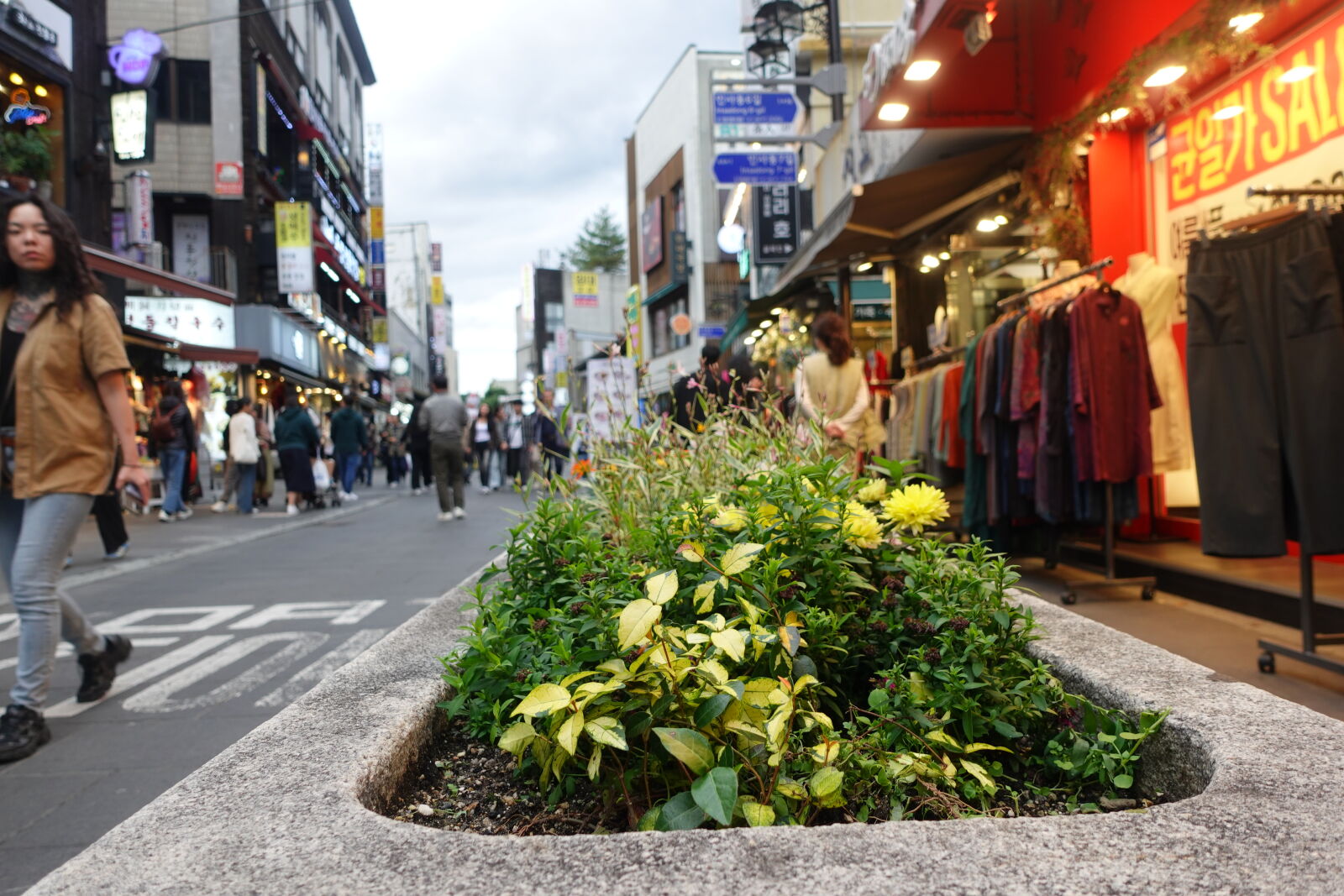 Sony ZV-1 sample photo